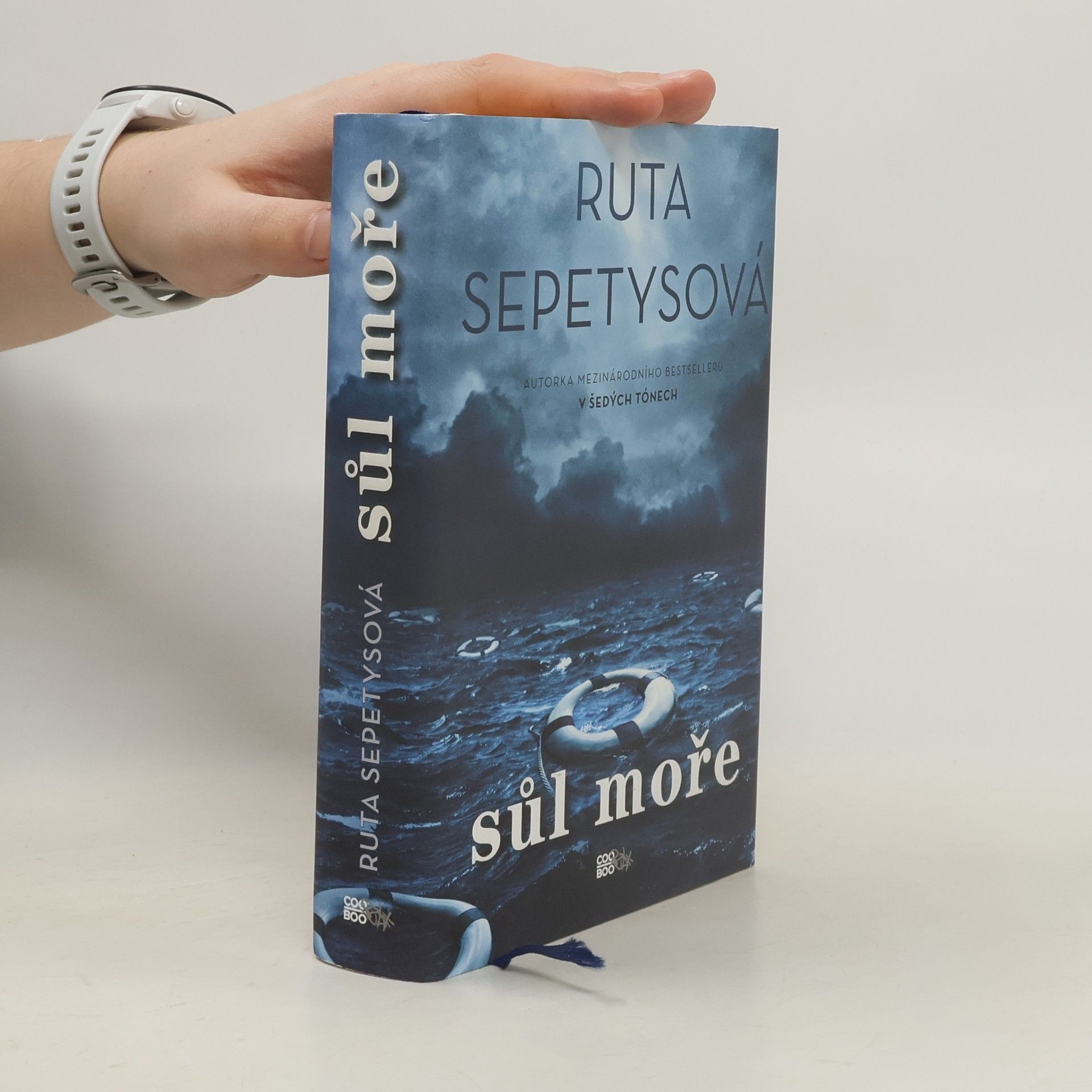 Ruta Sepetys Sůl moře