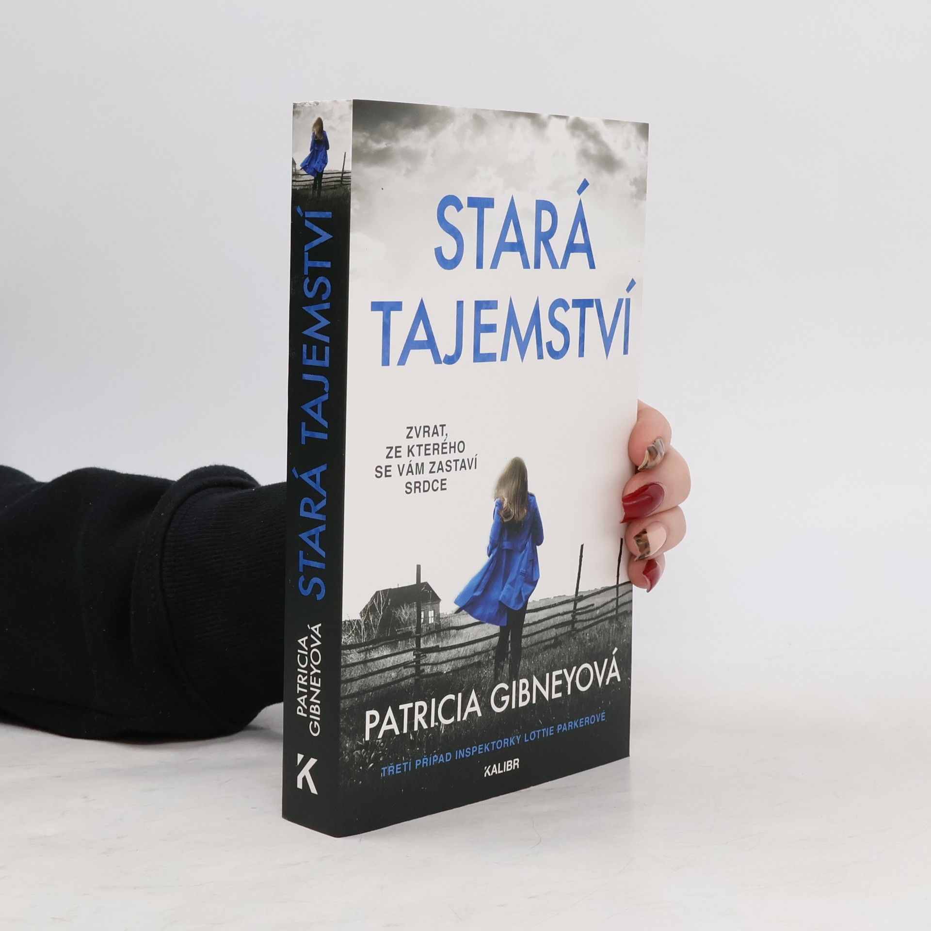 Patricia Gibney Stará tajemství