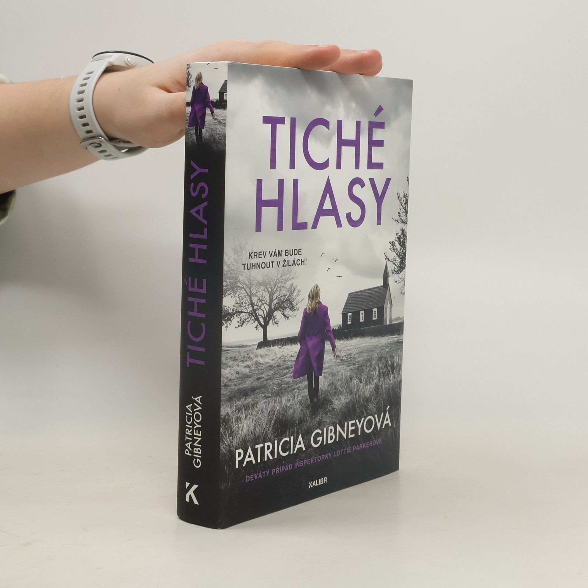 Drahomíra Michnová Tiché hlasy