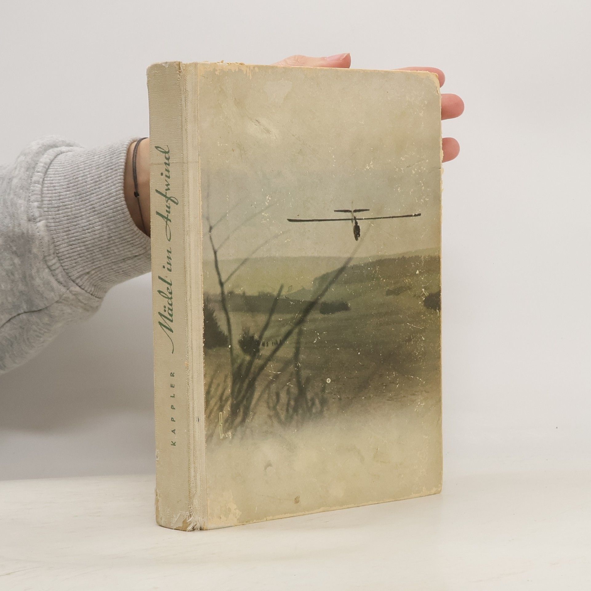 Hannes Kappler Mädel im Aufwind