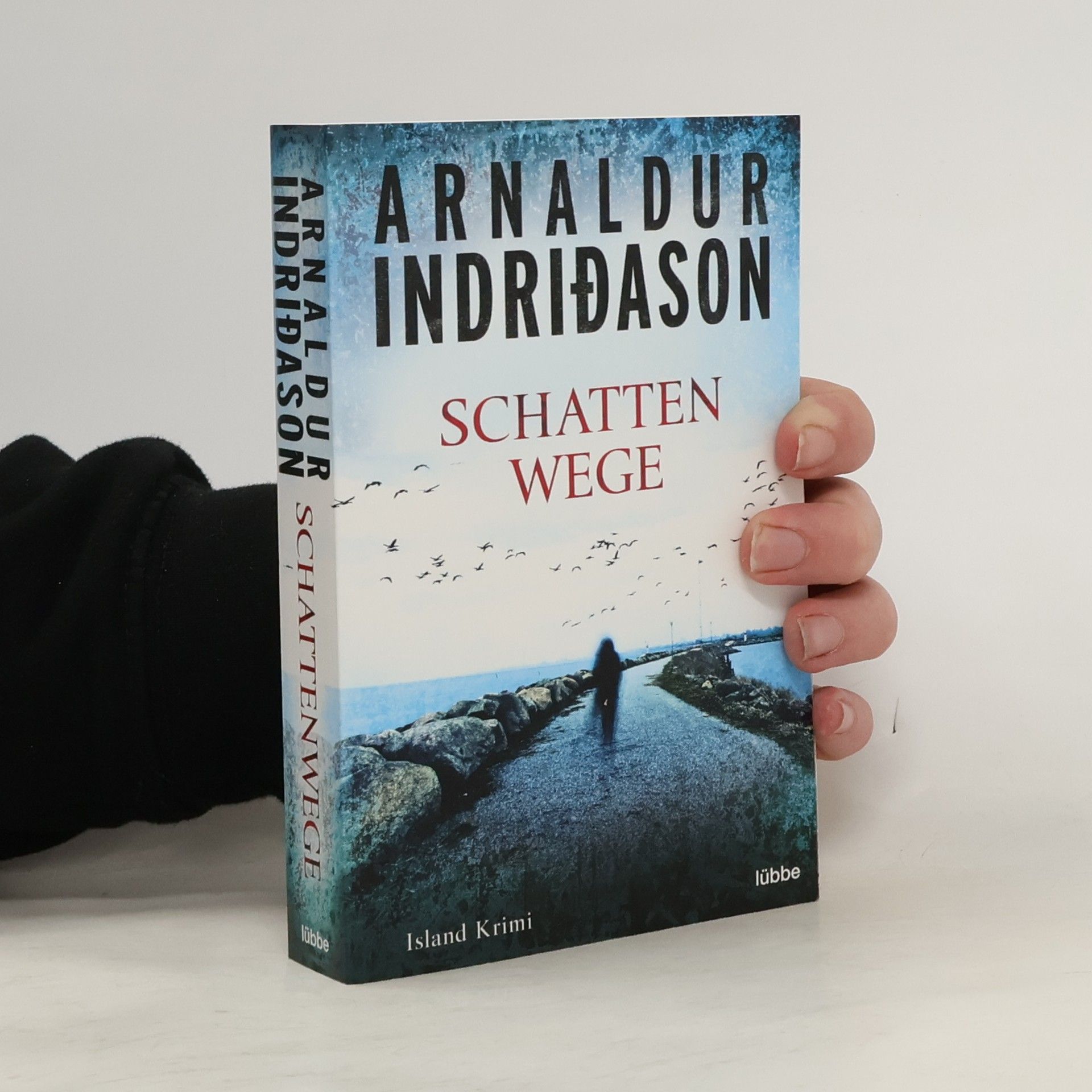 Arnaldur Indridason Schattenwege