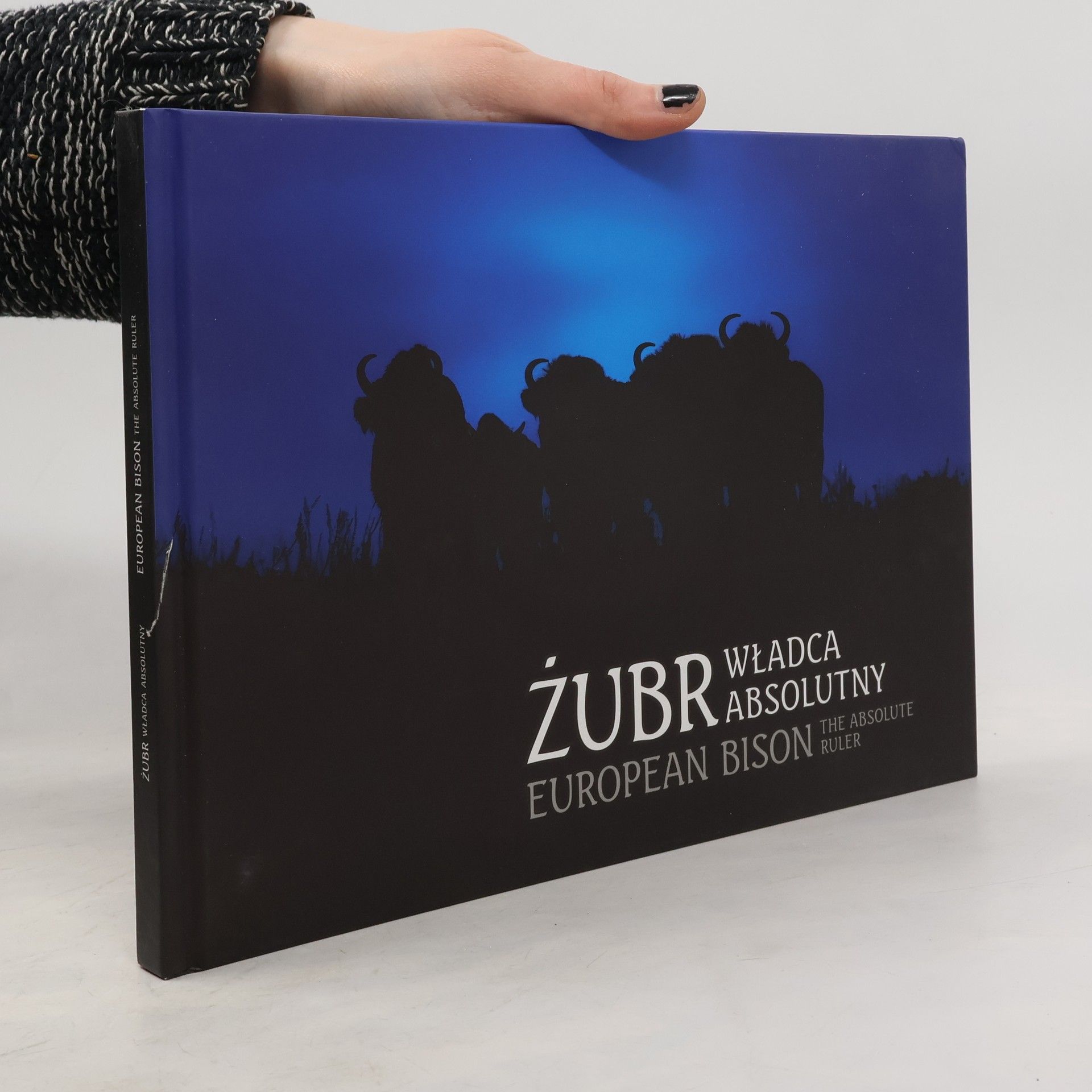 Collectif d'auteurs Żubr Władca Absolutny