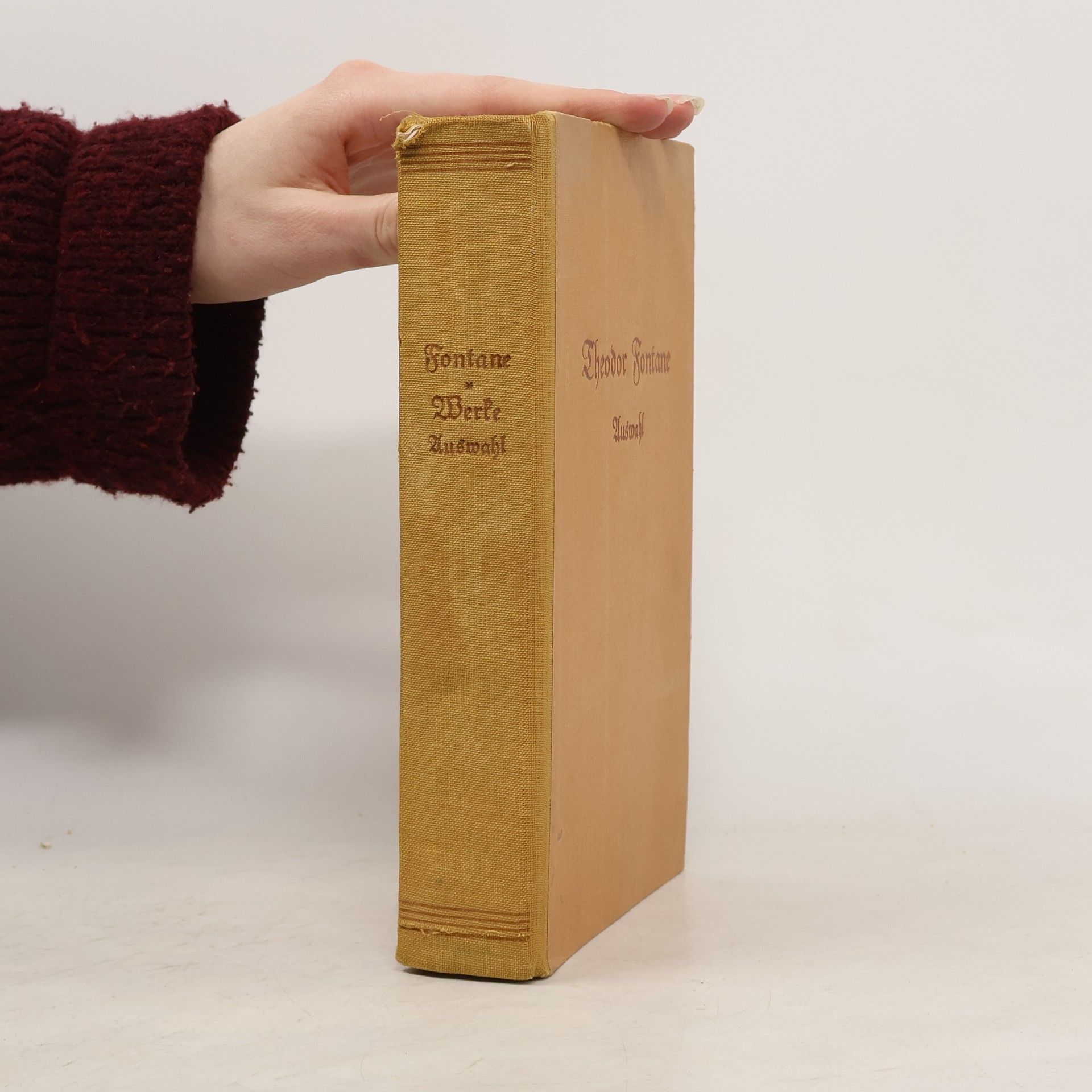 Theodor Fontane Werke Auswahl