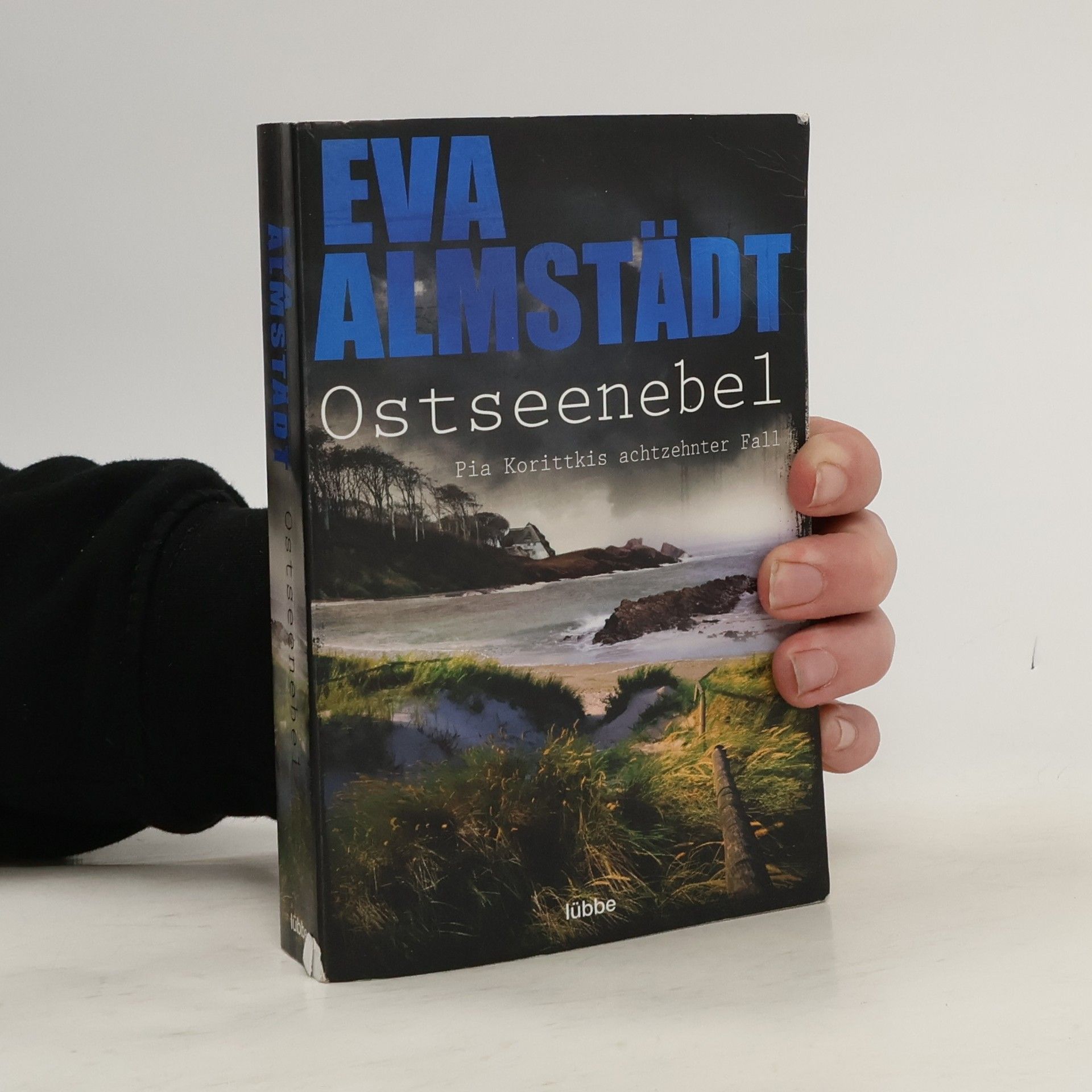 Eva Almstadt Ostseenebel