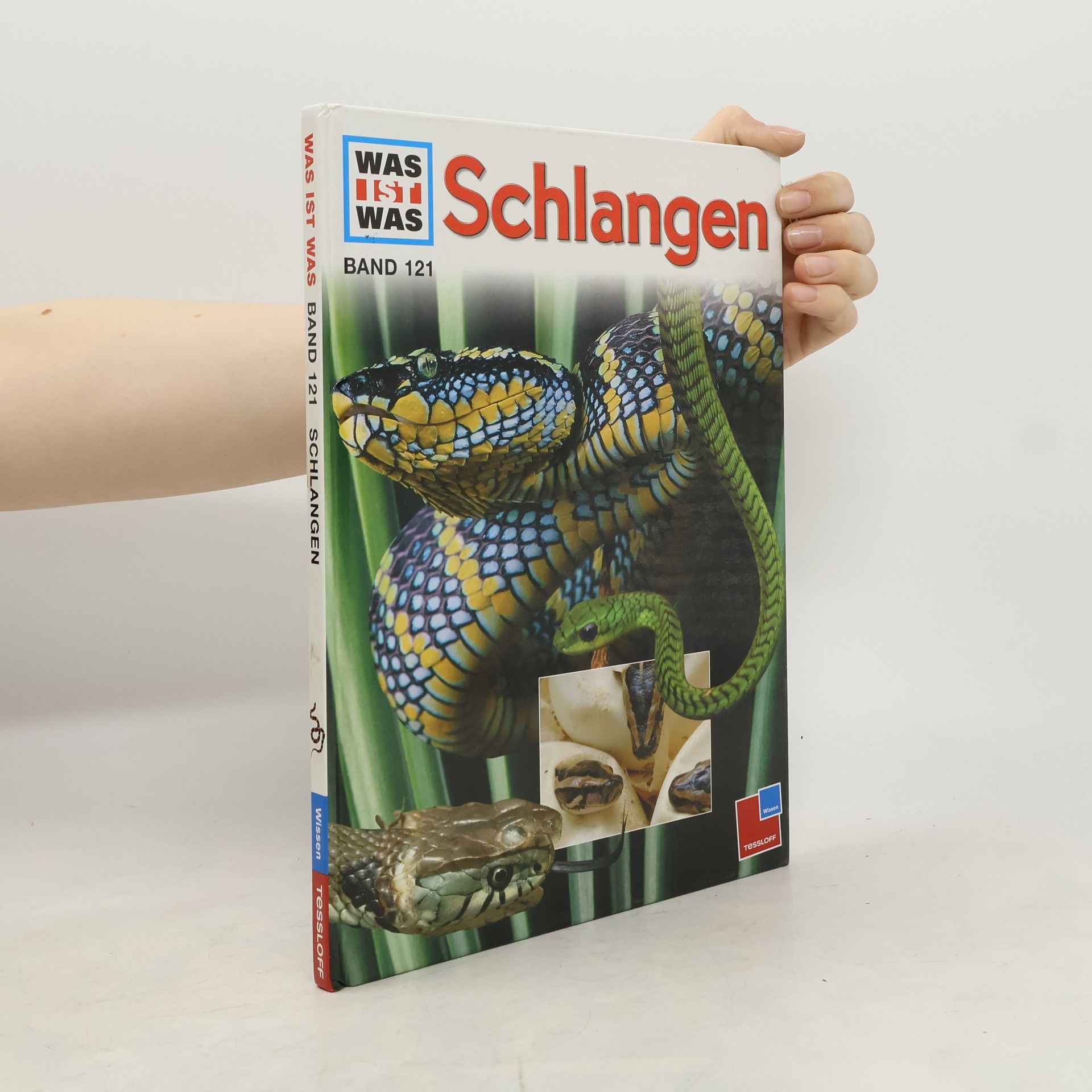 Dietmar Mertens Schlangen