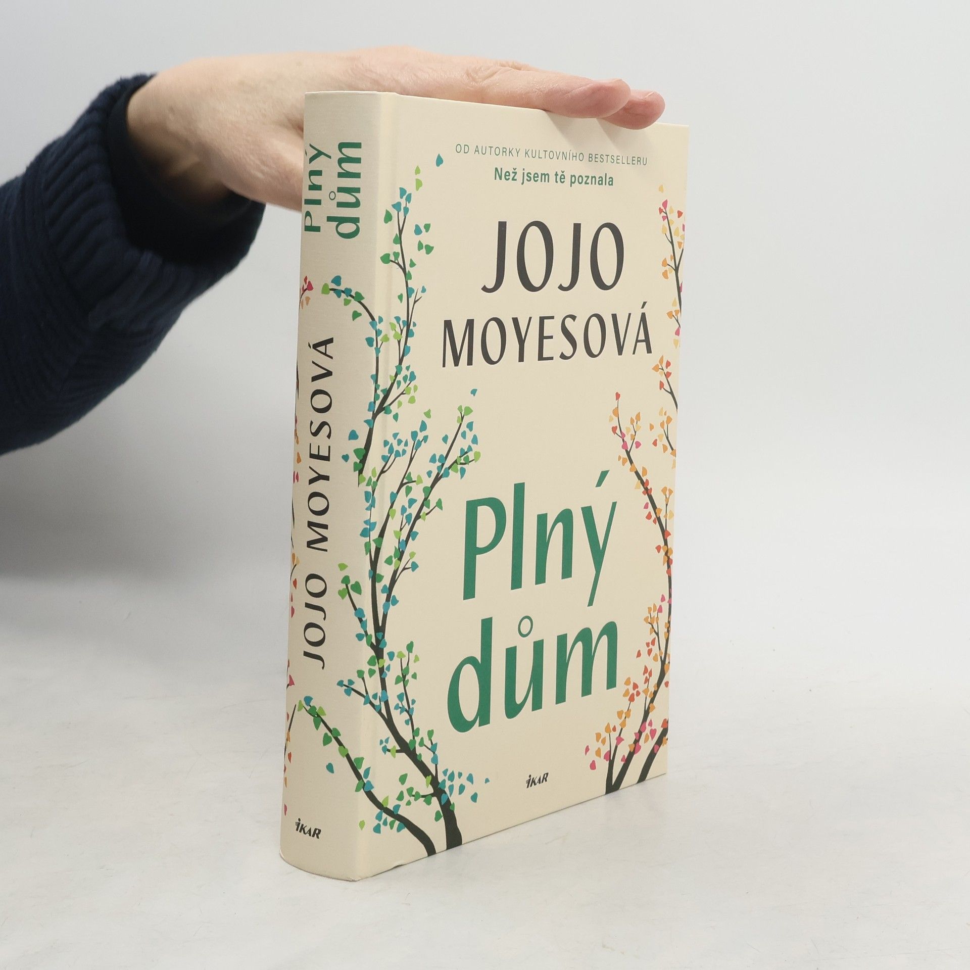 Jojo Moyes Plný dům