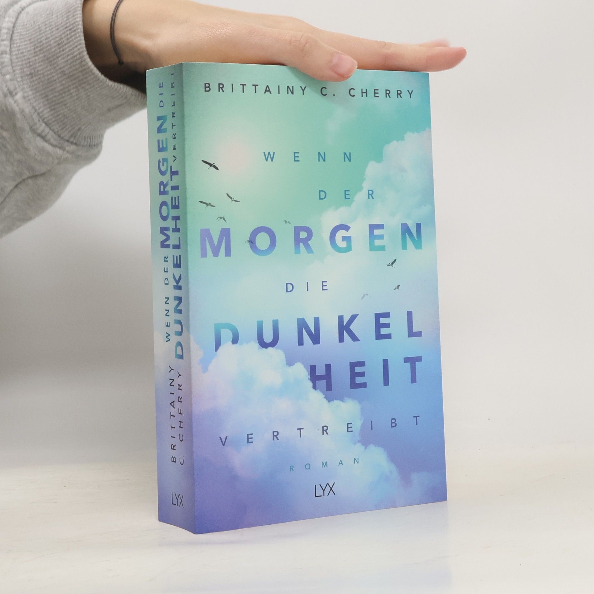 Brittainy C. Cherry Wenn der Morgen die Dunkelheit vertreibt