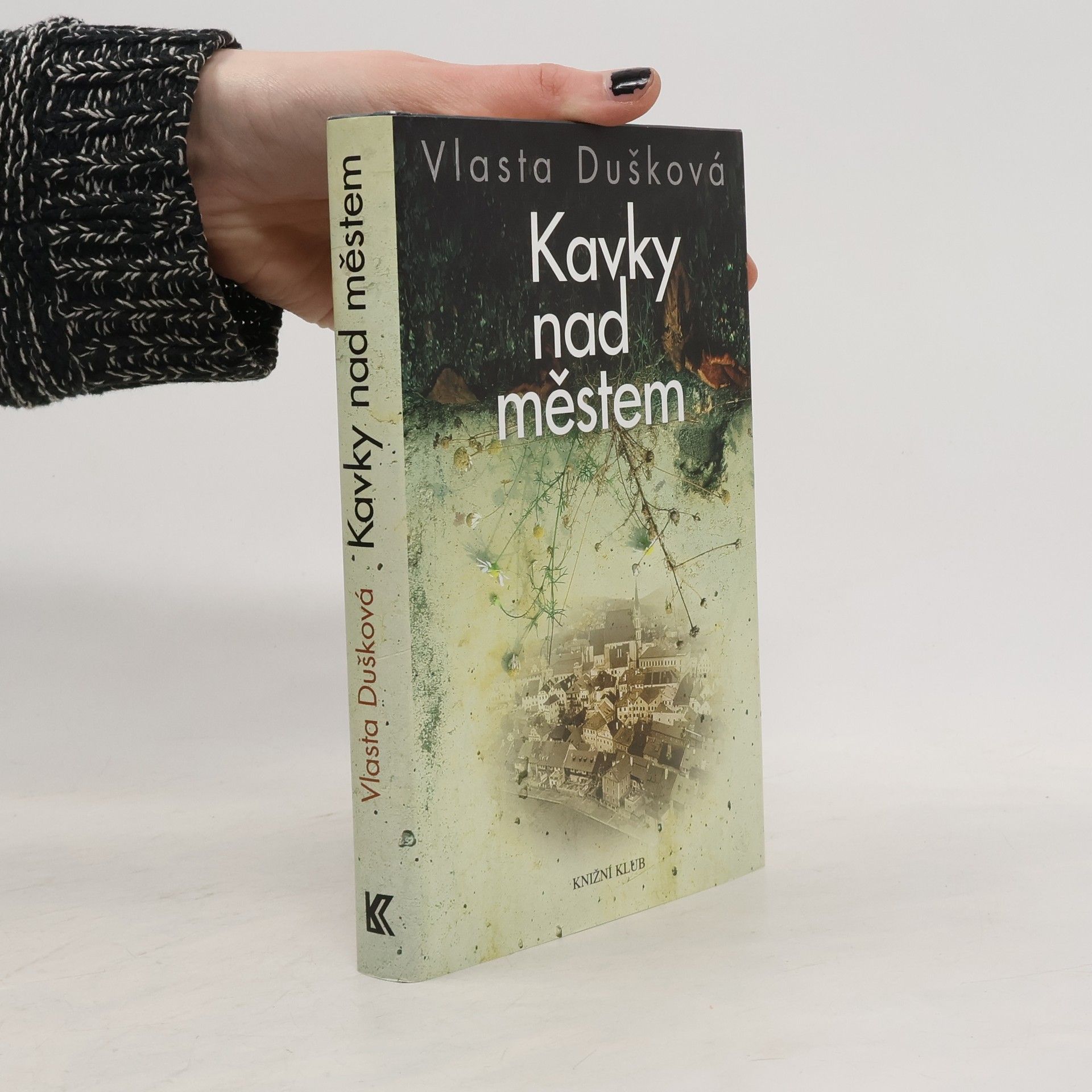 Vlasta Dušková Kavky nad městem