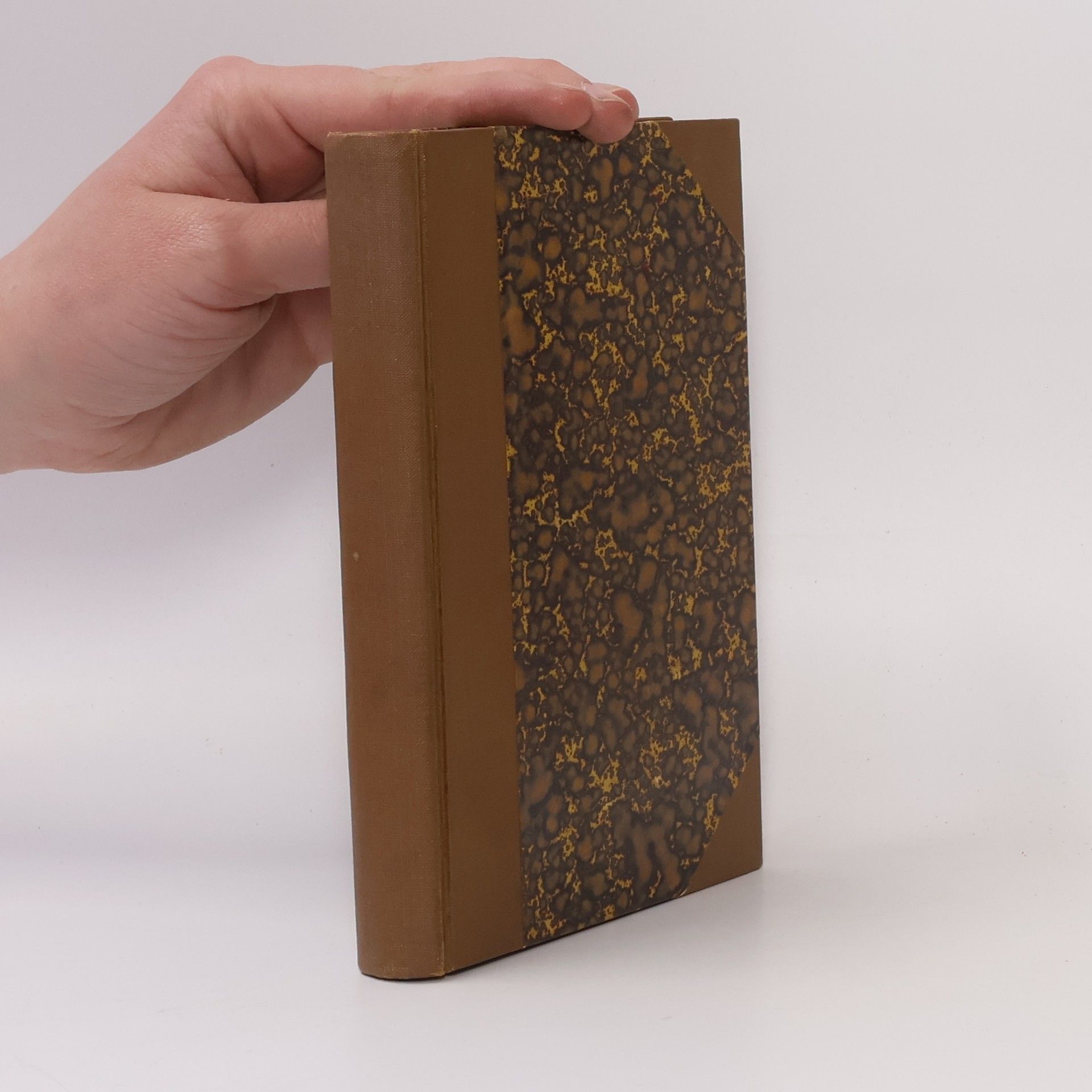 1848. Román a skutečnost