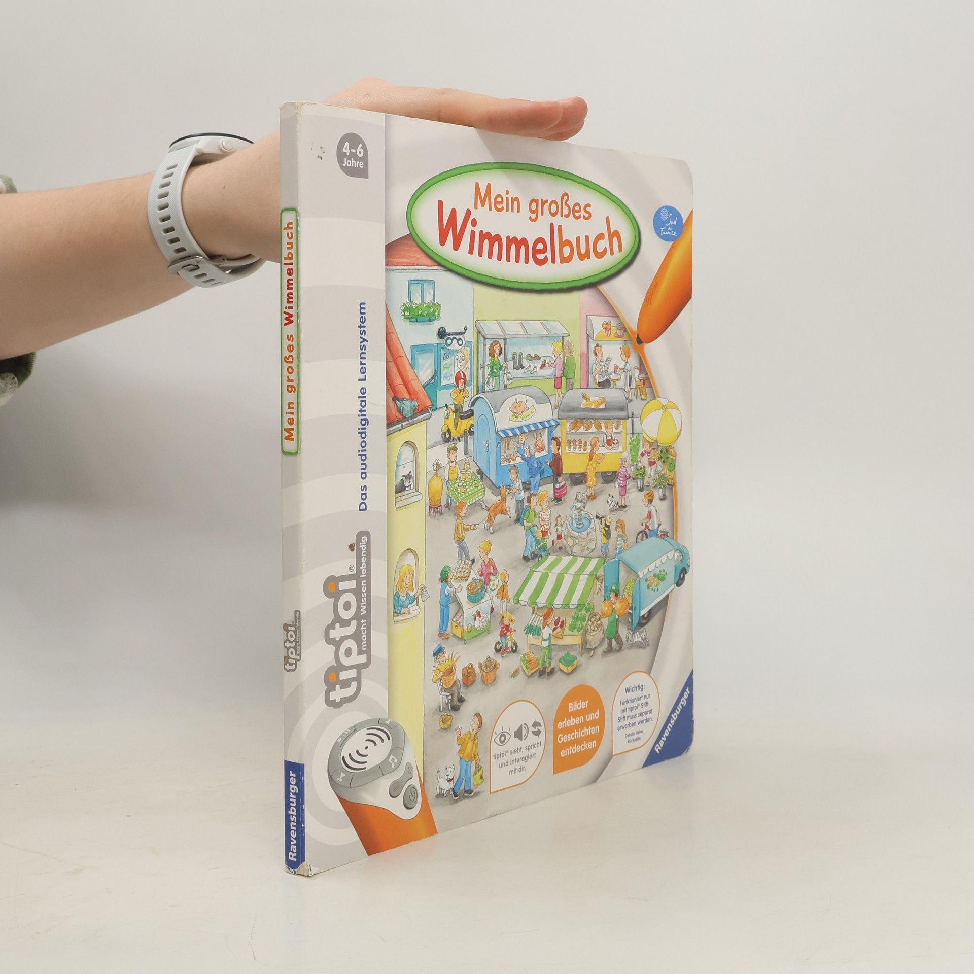 Friederike Großekettler Mein großes Wimmelbuch