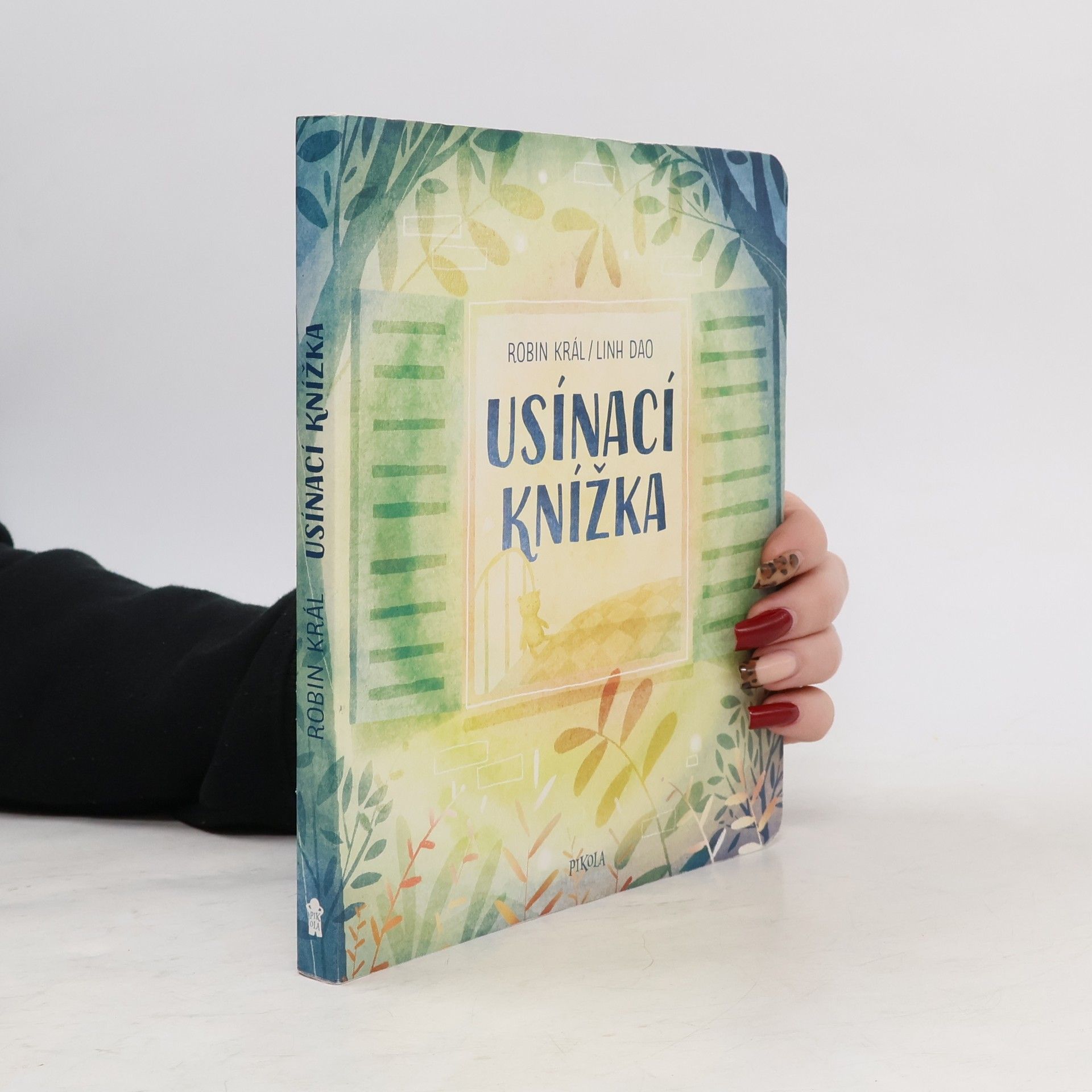 Robin Král Usínací knížka