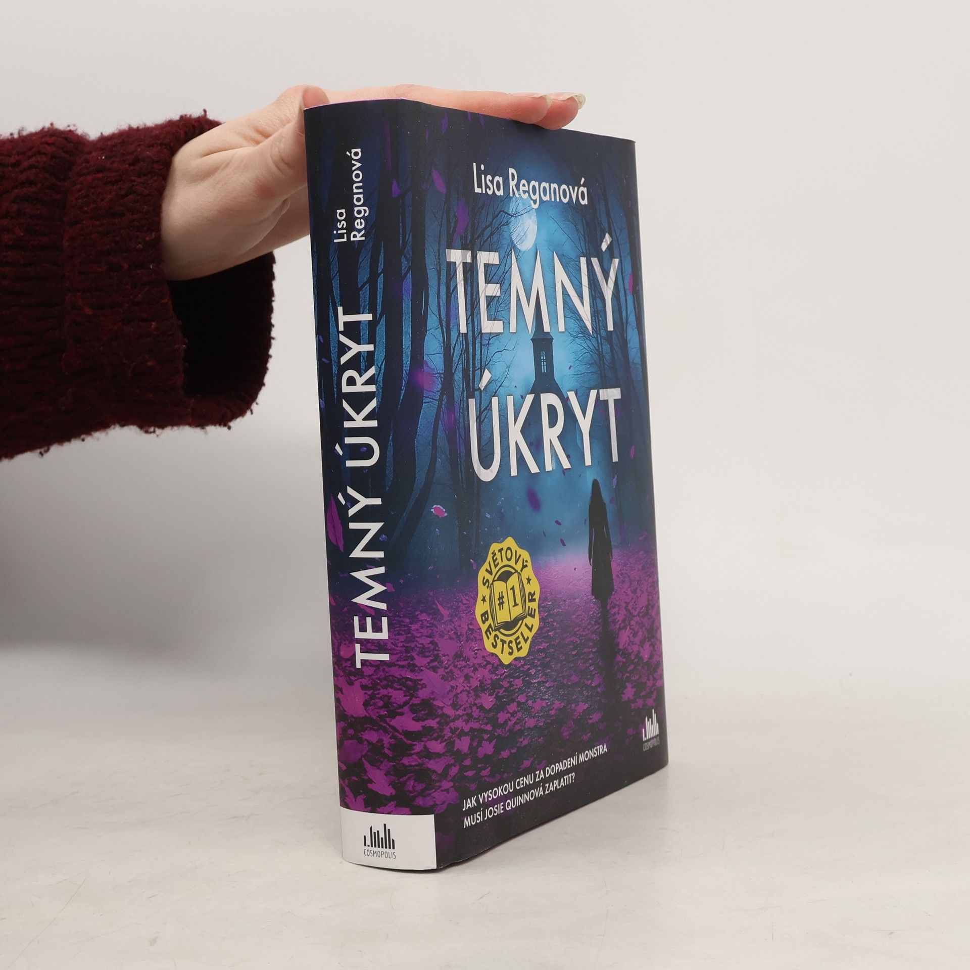 Lisa Regan Temný úkryt