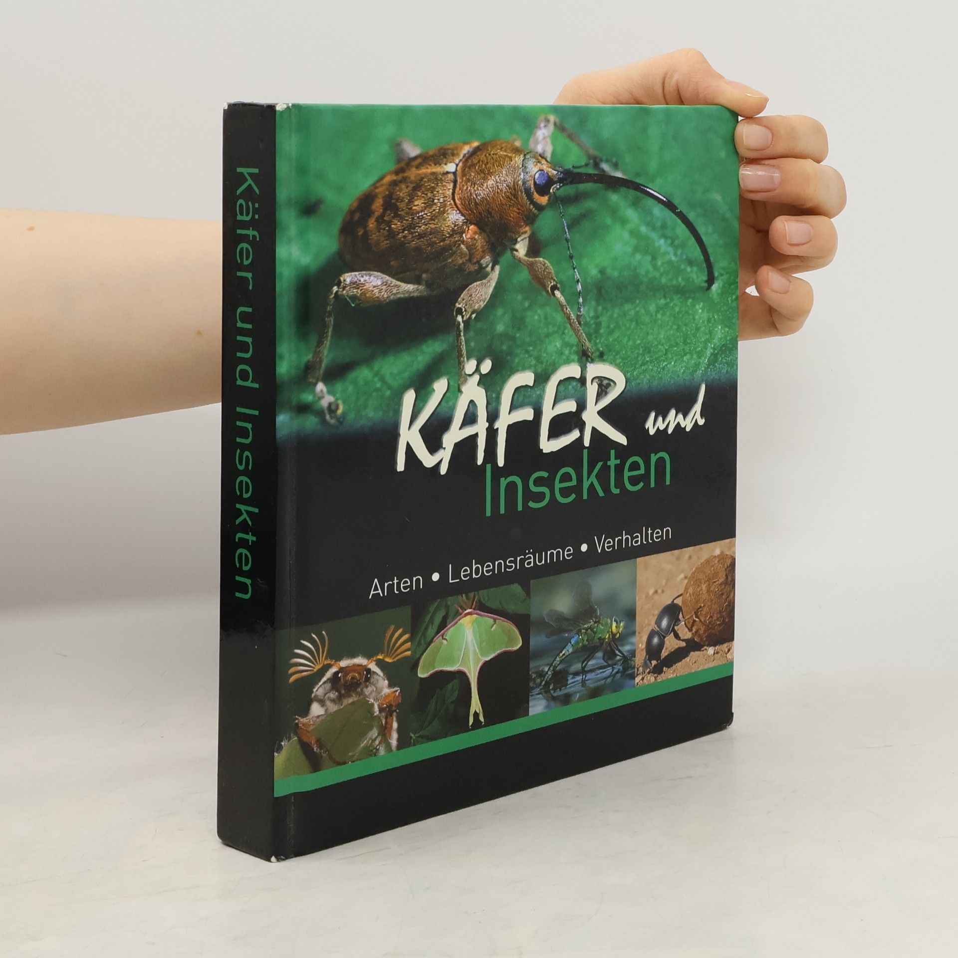 Kolektiv autorů Käfer und Insekten