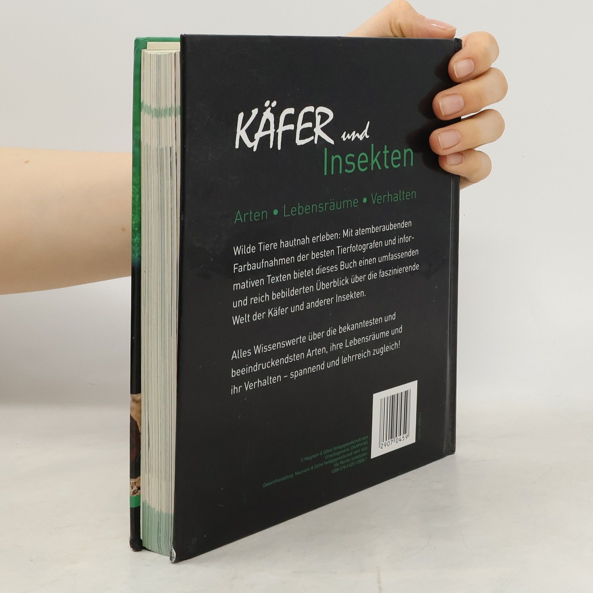 Käfer und Insekten
