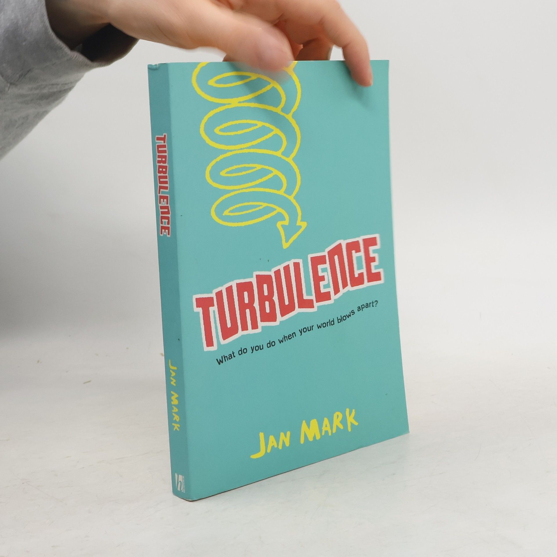 Jan-Mark Steiner Turbulence