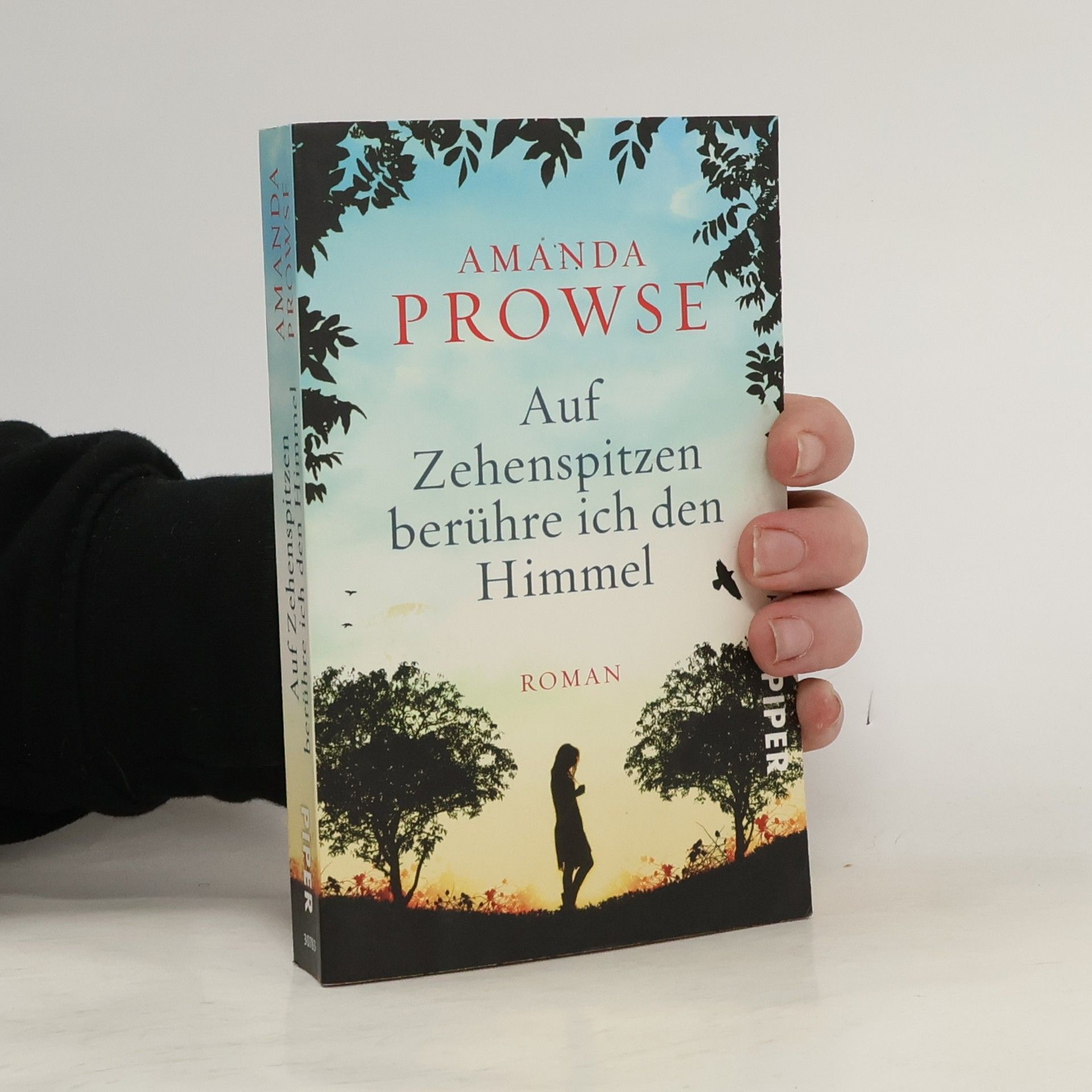 Amanda Prowse Auf Zehenspitzen berühre ich den Himmel