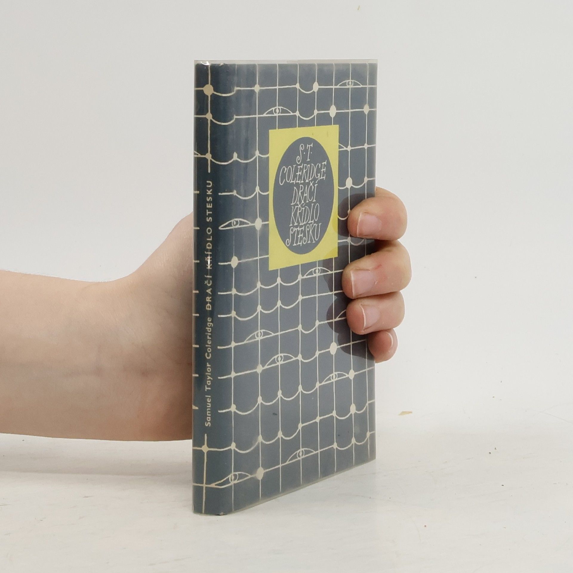 Dračí křídlo stesku