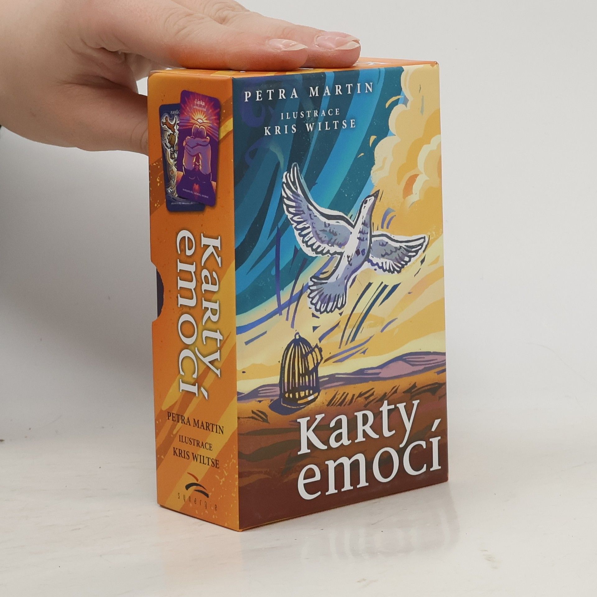 Petra Martin Karty emocí