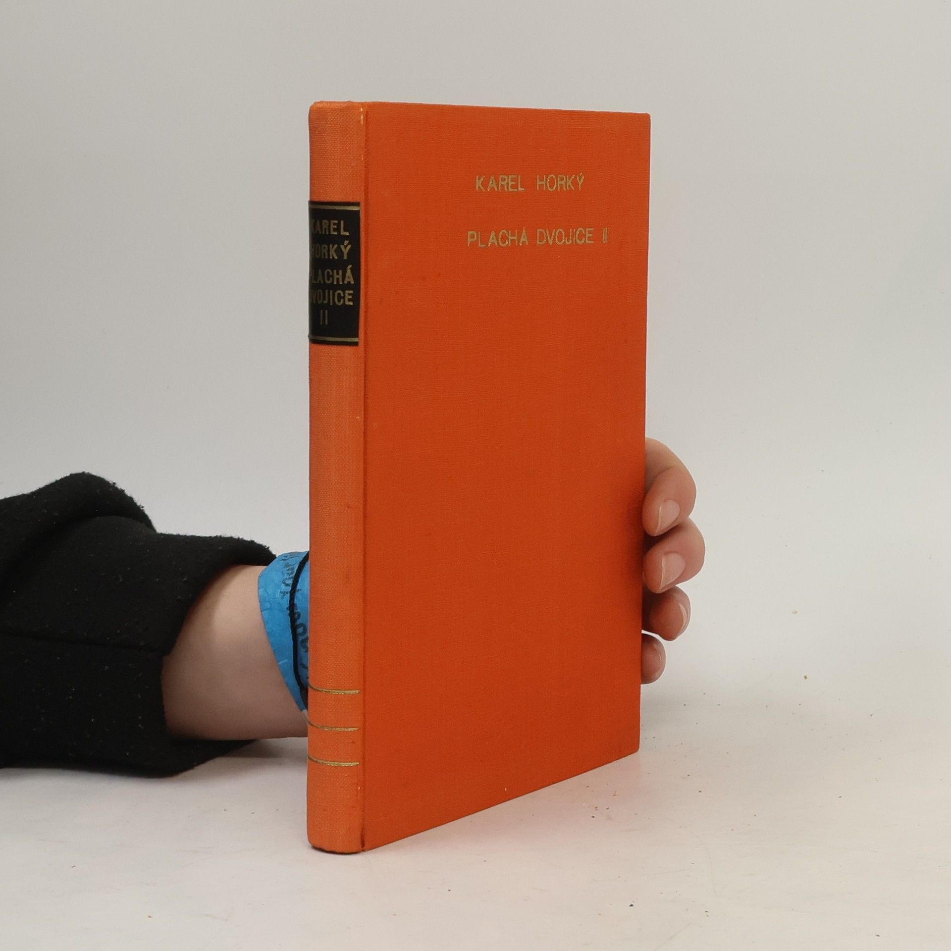 Karel Horký Plachá dvojice II