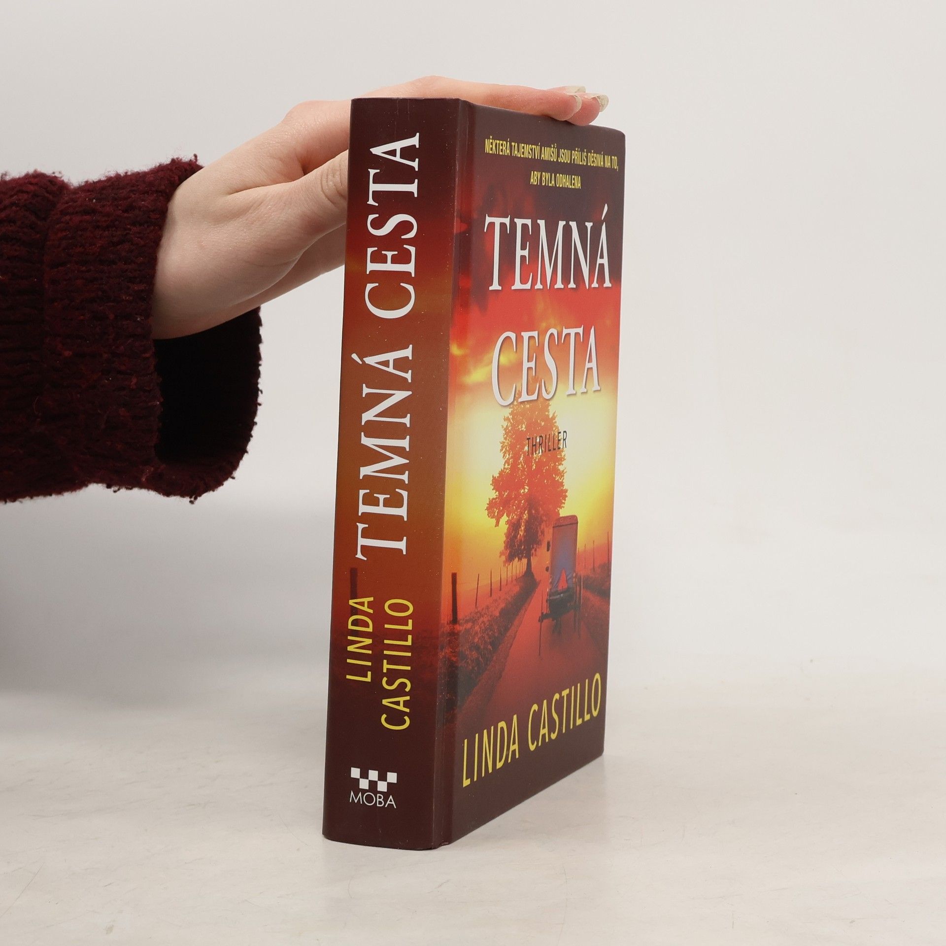 Linda Castillo Temná cesta