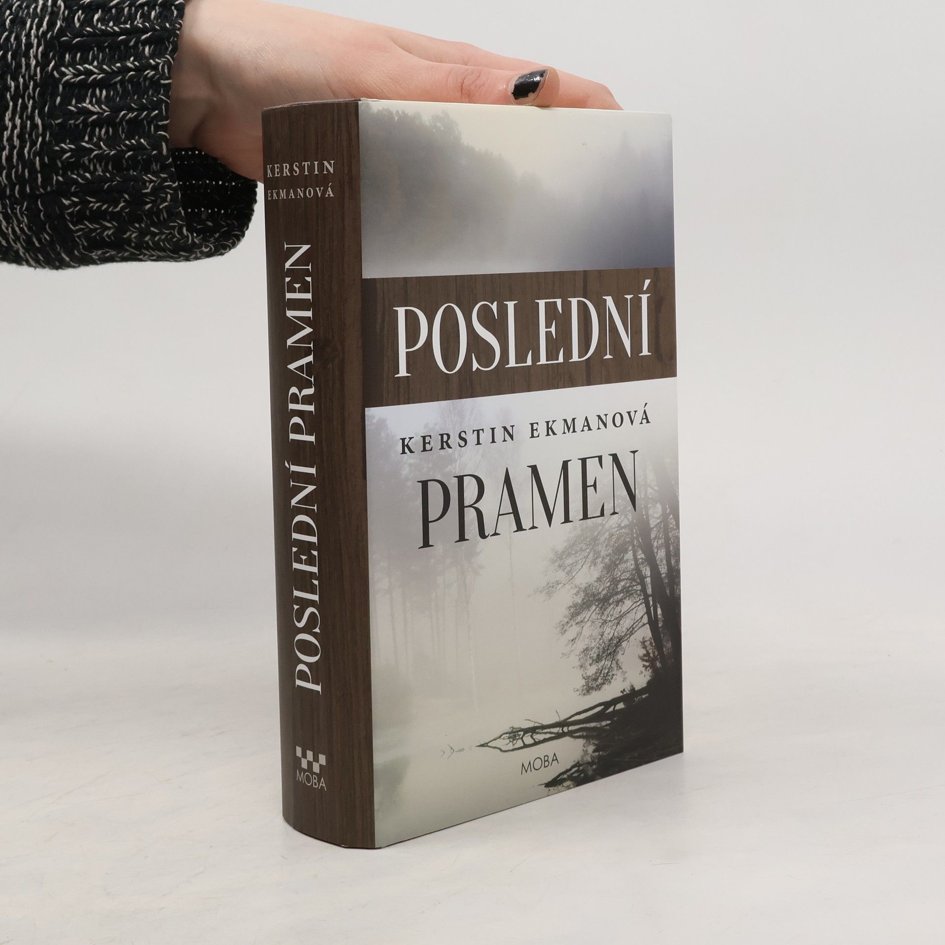 Kerstin Ekman Poslední pramen