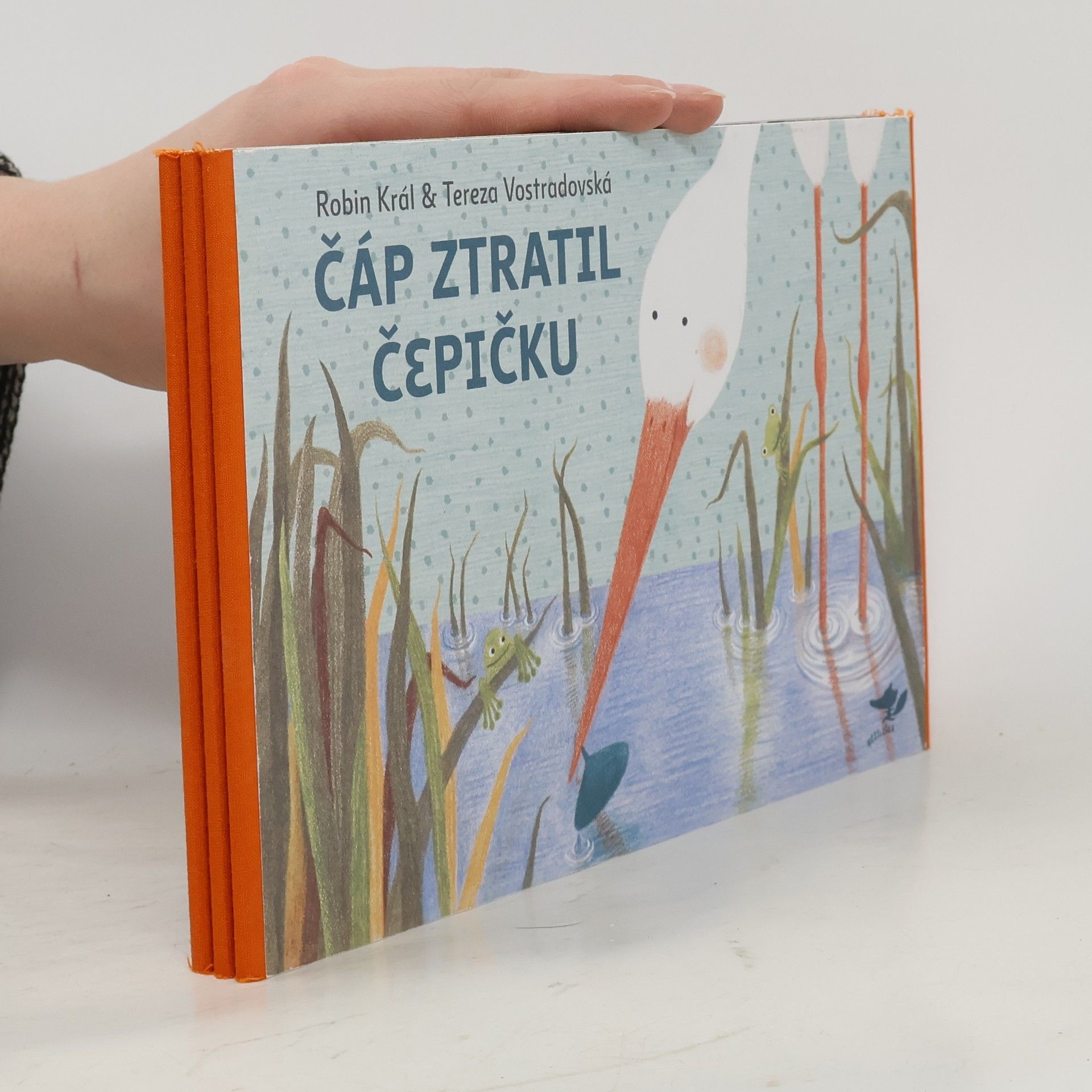 Robin Král Čáp ztratil čepičku