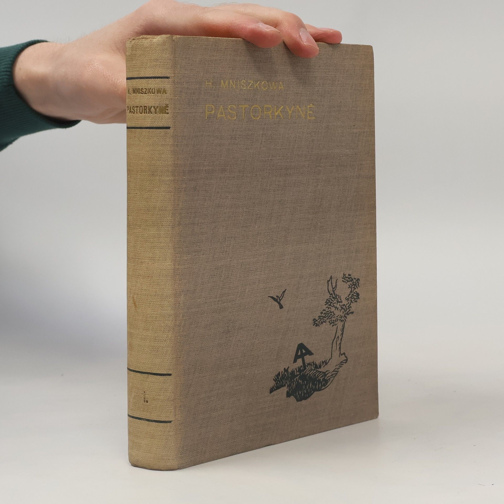 Pastorkyně : román. Díl I