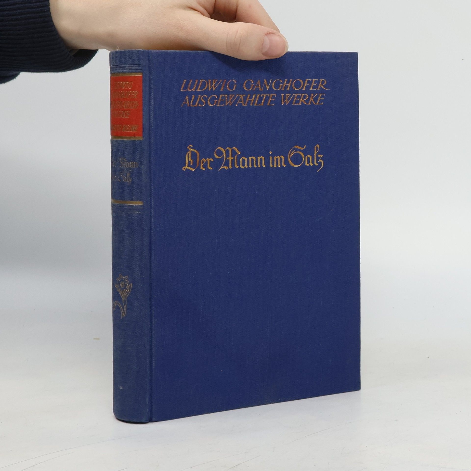 Ludwig Ganghofer Der Mann im Salz