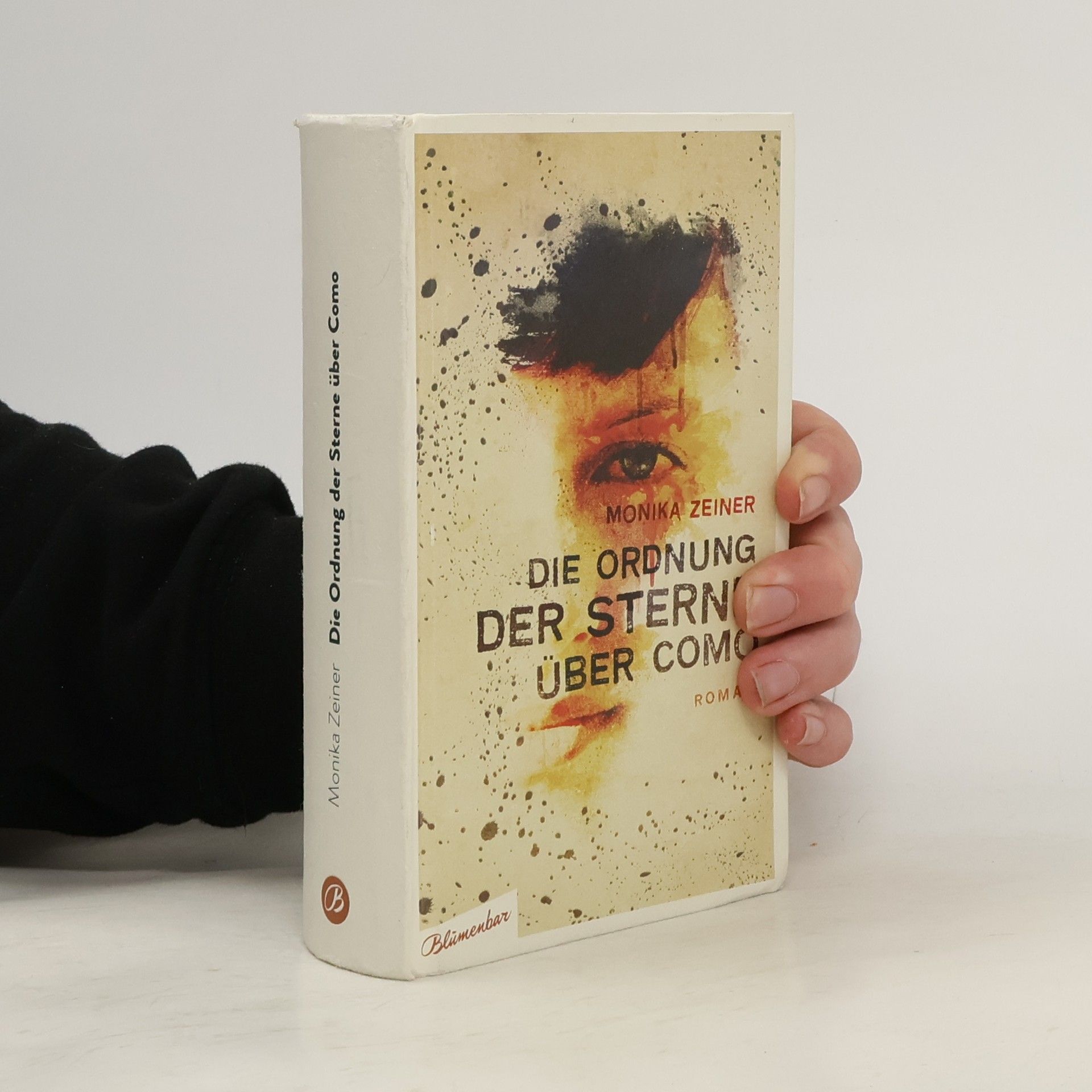 Monika Zeiner Die Ordnung der Sterne über Como