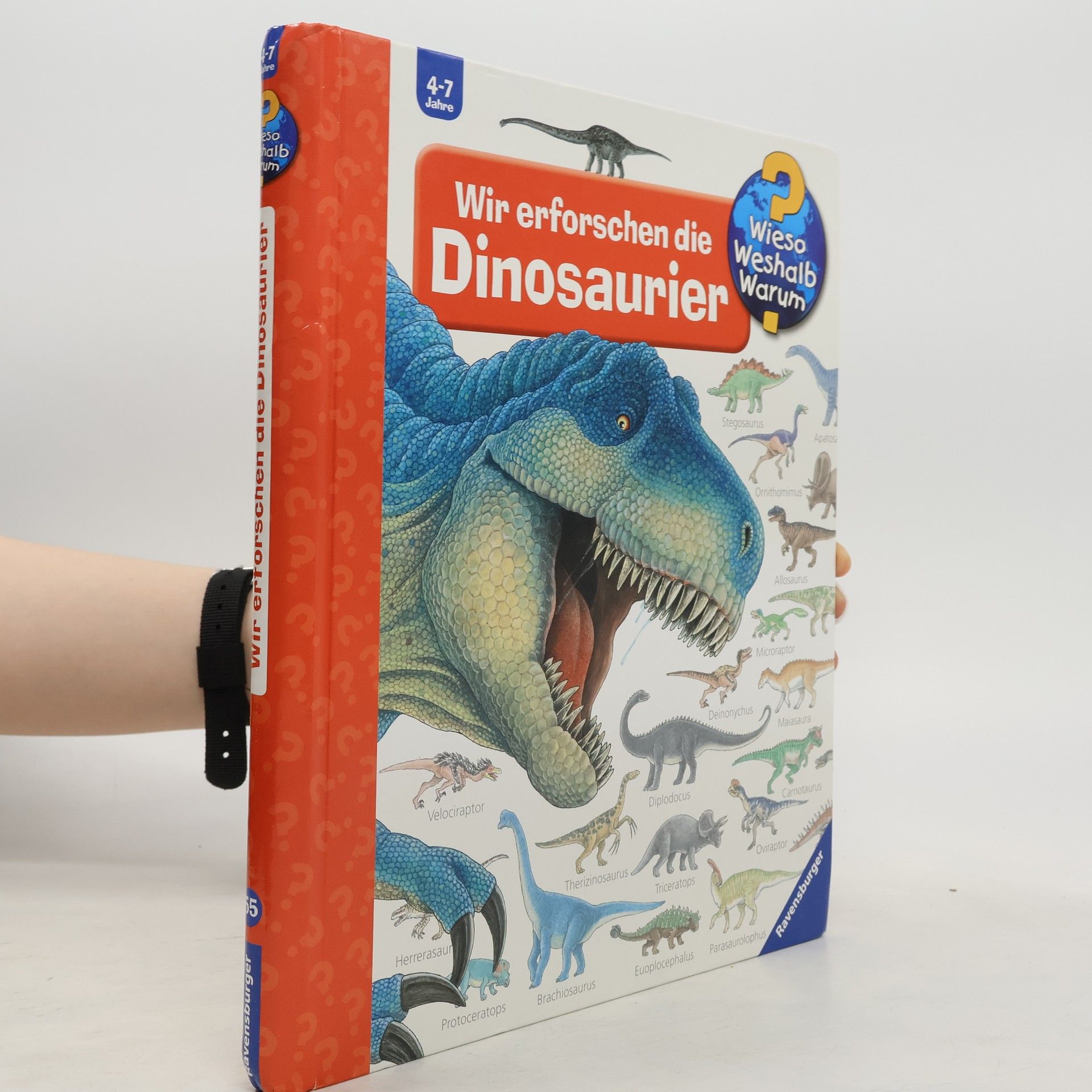 Autorenkollektiv Wir erforschen die Dinosaurier