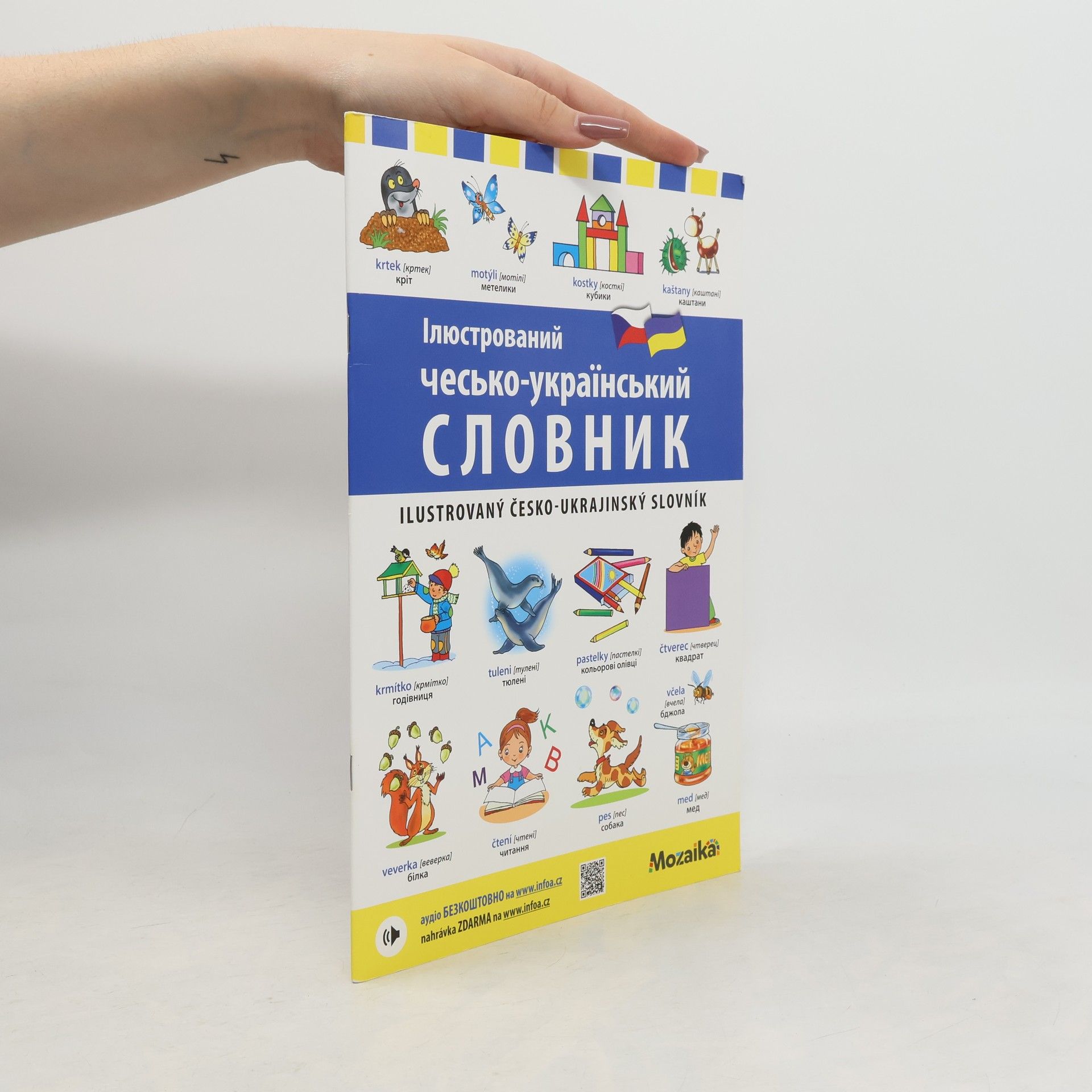Ilustrovaný česko-ukrajinský slovník / Ілюстрований чесько-український словник