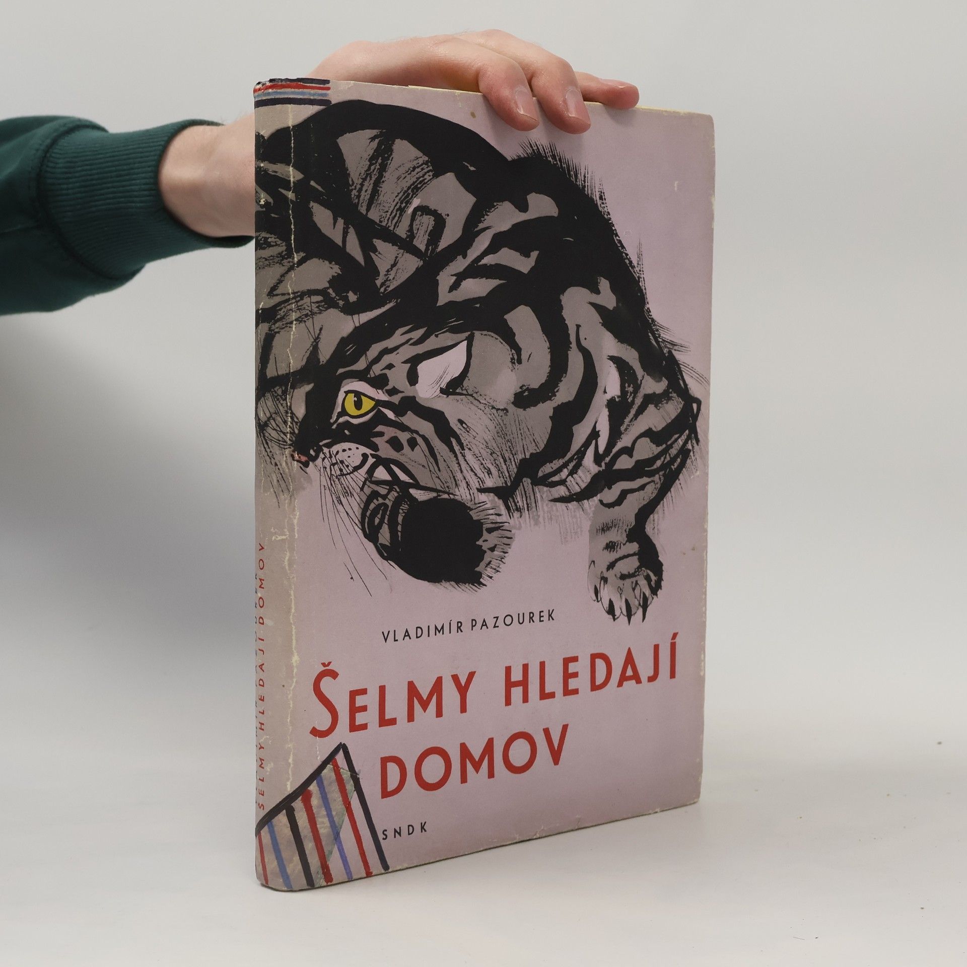 Vladimír Pazourek Šelmy hledají domov