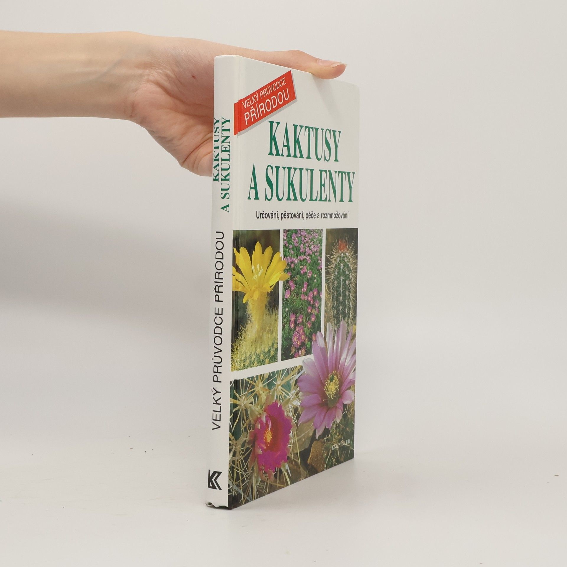 Maria Teresa Della Beffa Kaktusy a sukulenty: určování, pěstování, péče a rozmnožování