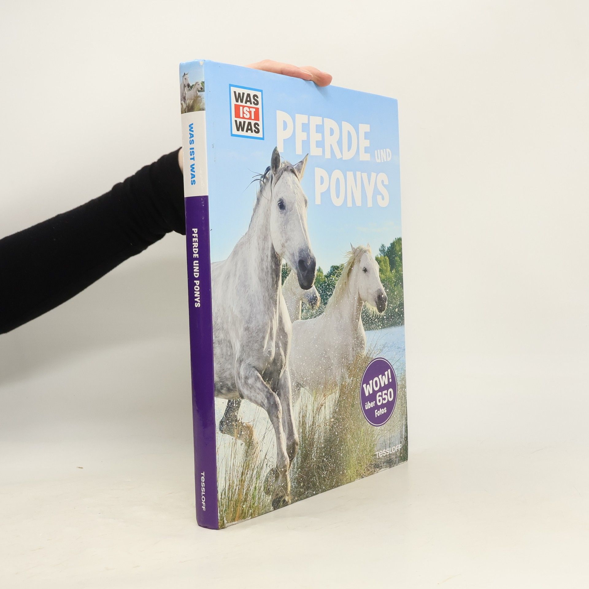 Pferde und Ponys