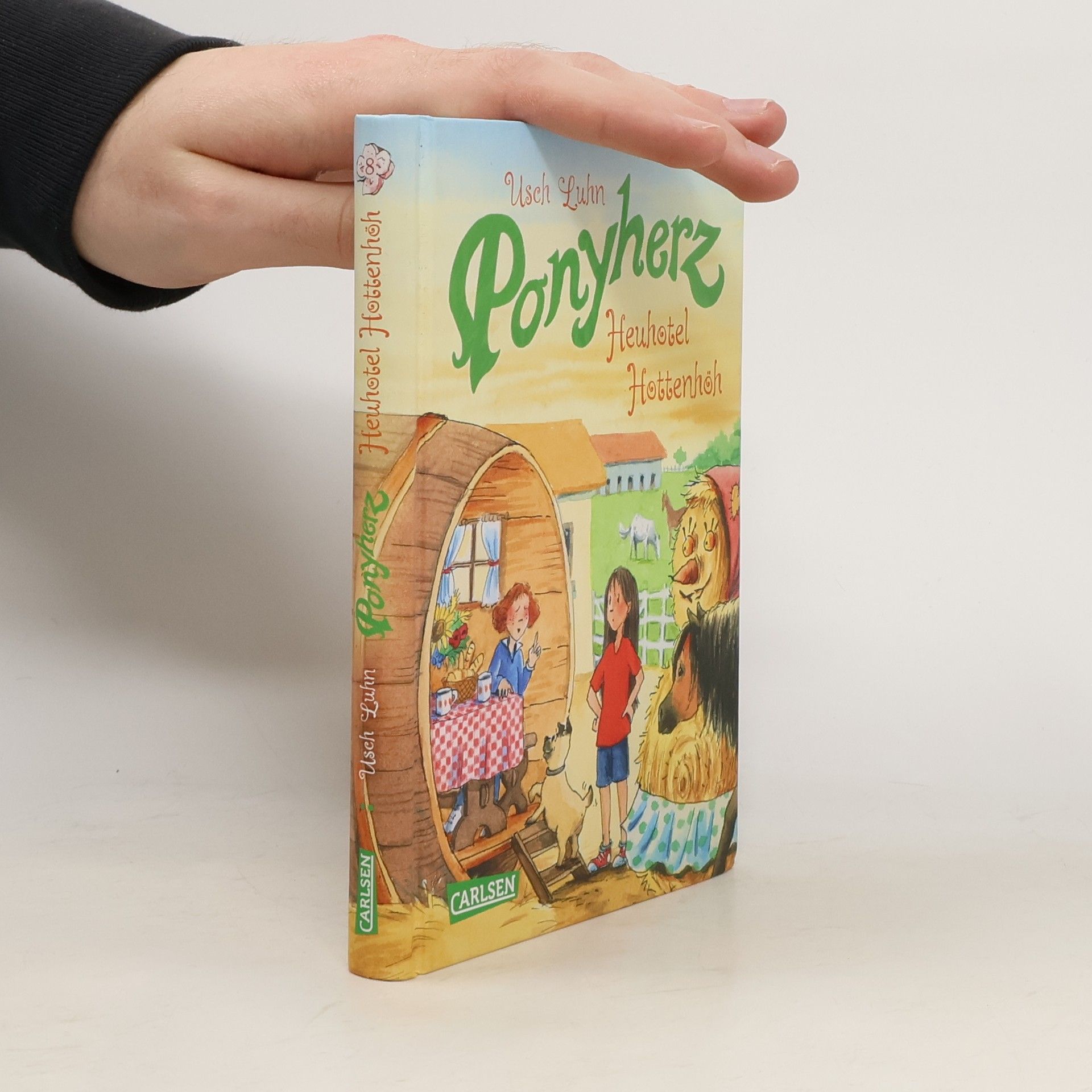 Usch Luhn Heuhotel Hottenhöh / Ponyherz Bd.8