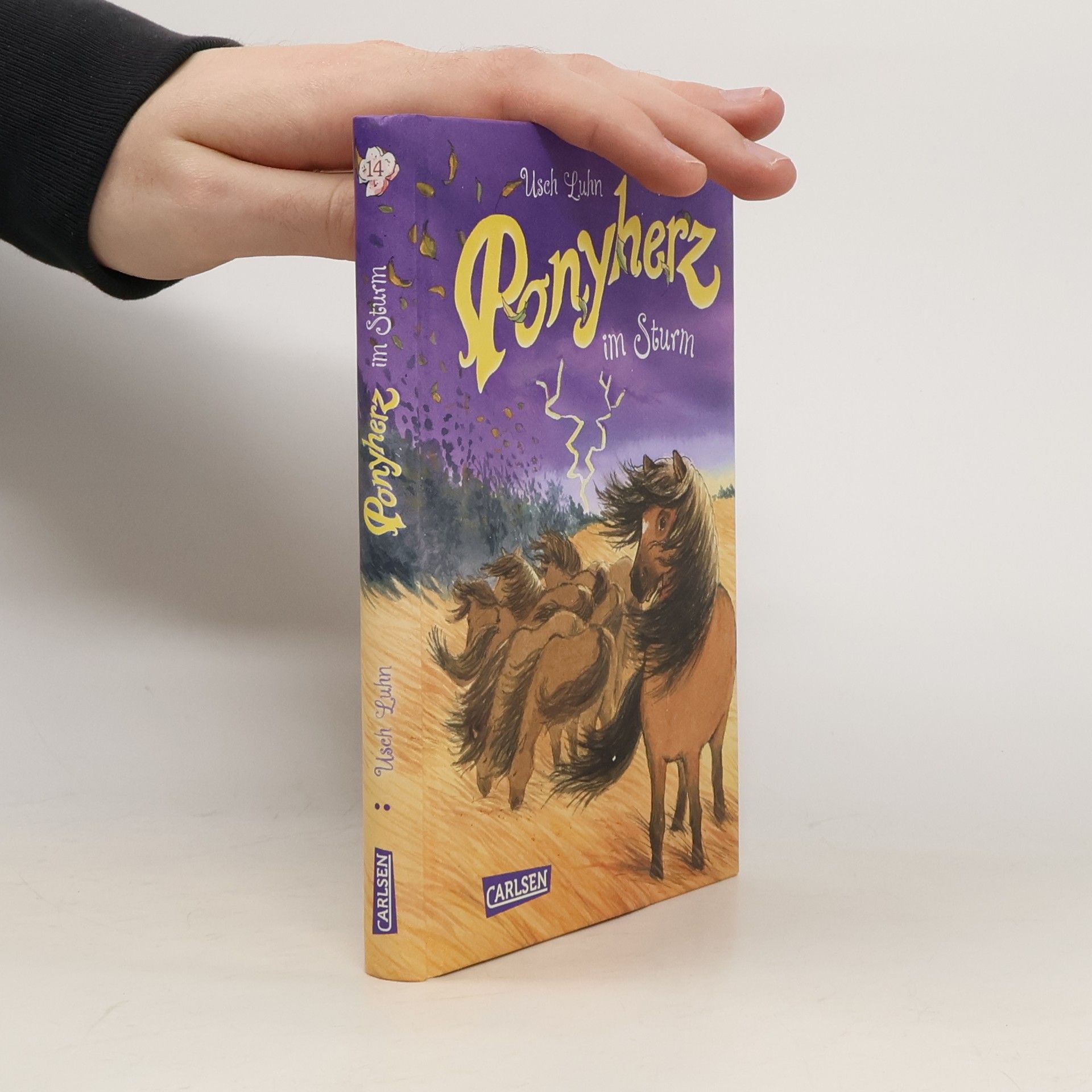 Usch Luhn Ponyherz im Sturm
