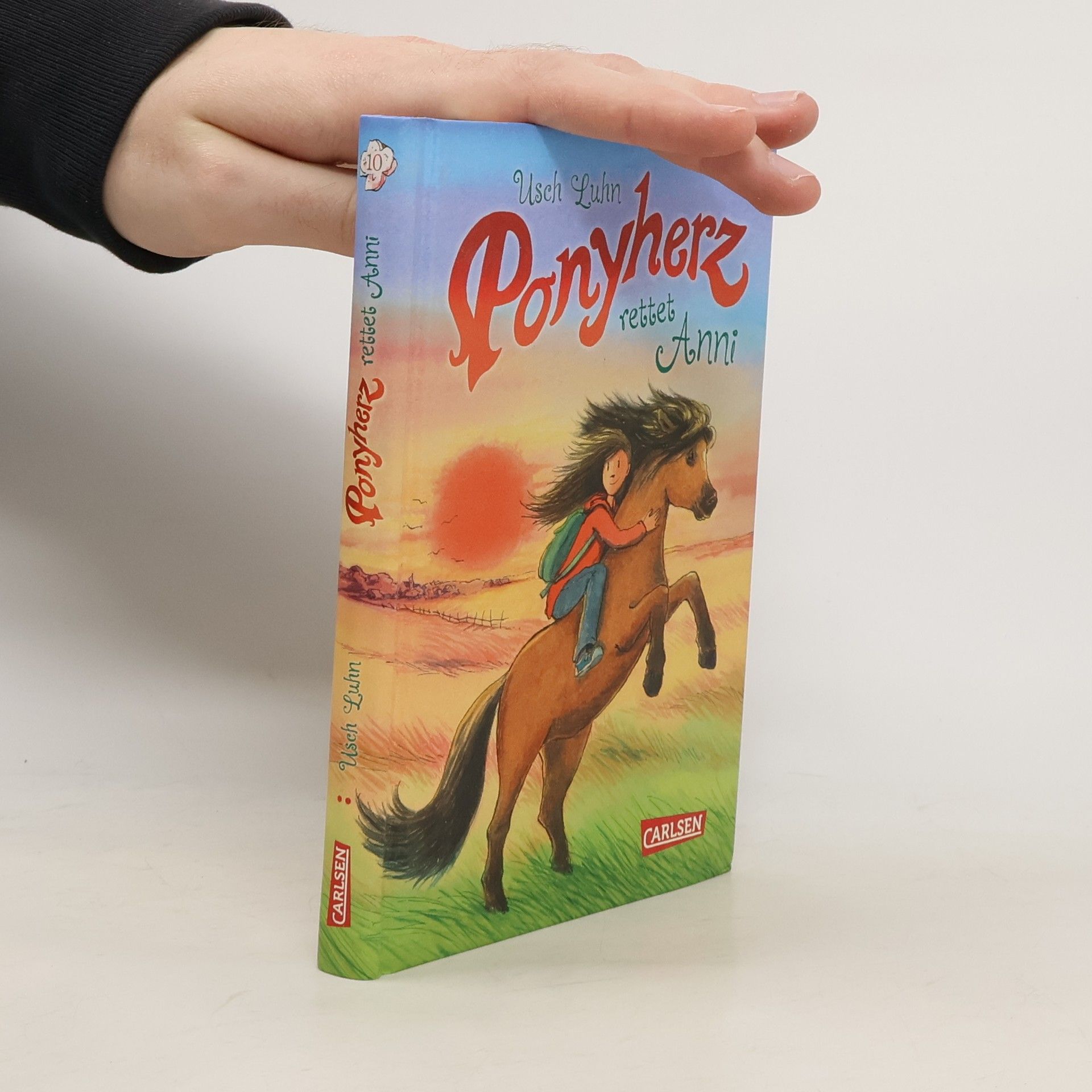 Usch Luhn Ponyherz - Ponyherz rettet Anni