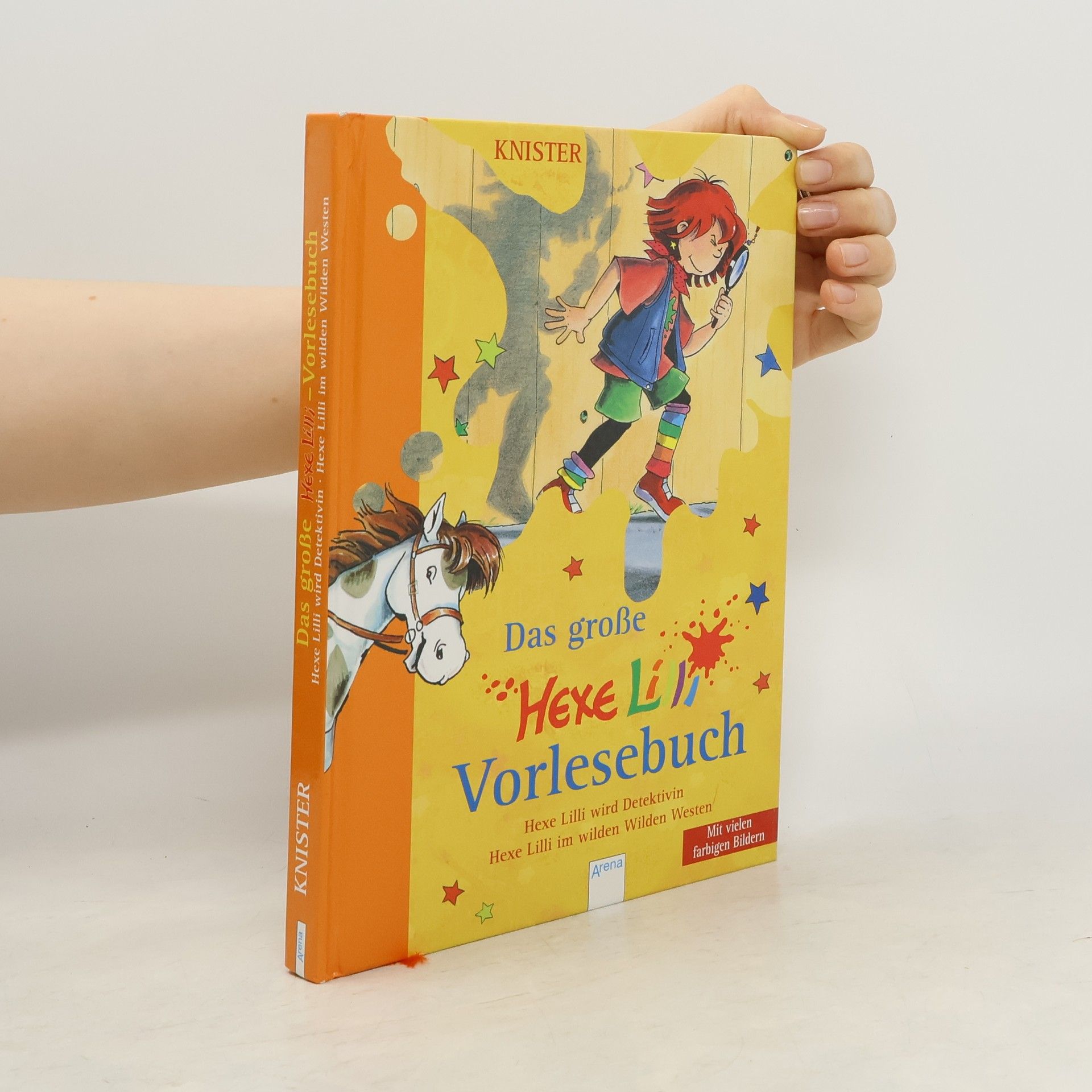 Knister Das große Hexe Lilli Vorlesebuch. Bd.3