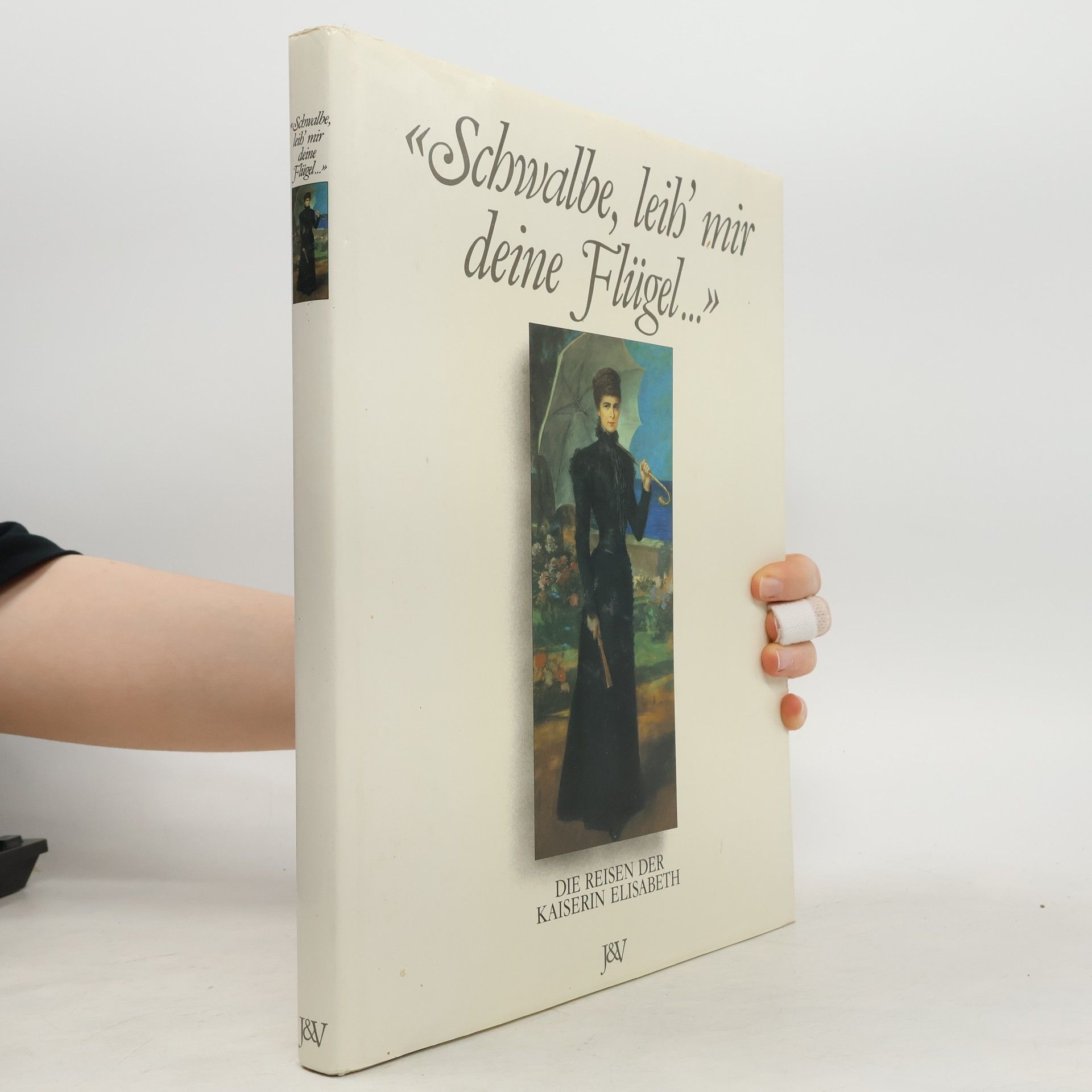 Kolektiv autorů Schwalbe, leih' mir deine Flügel...