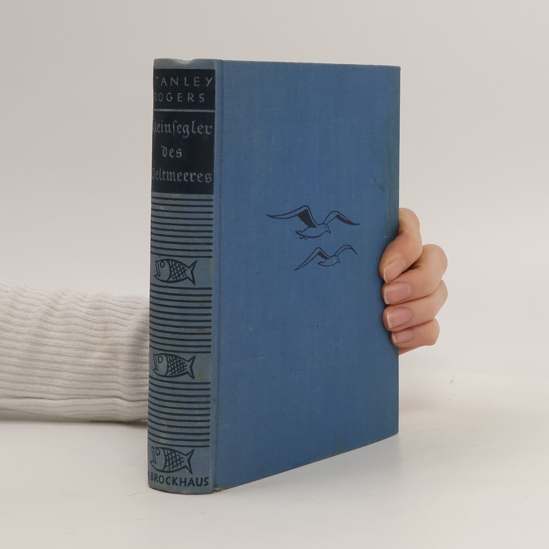 Kleinfegler des Beltmeeres