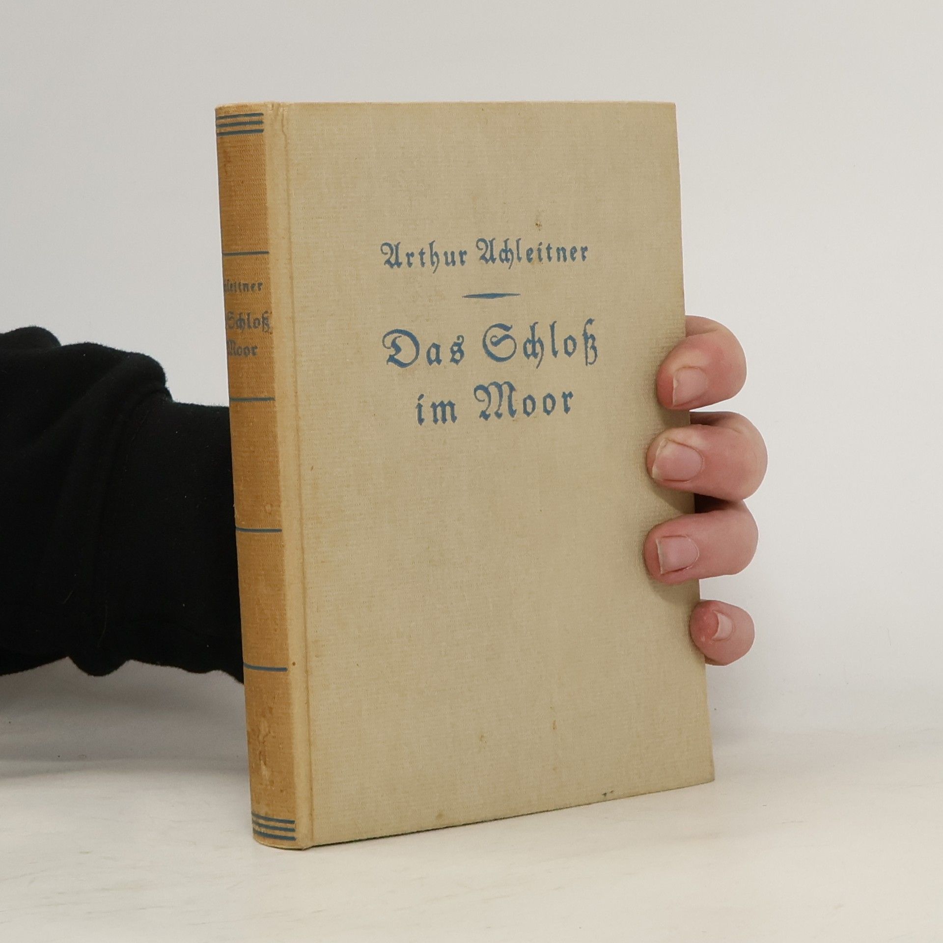 Arthur Achleitner Das Schloß im Moor