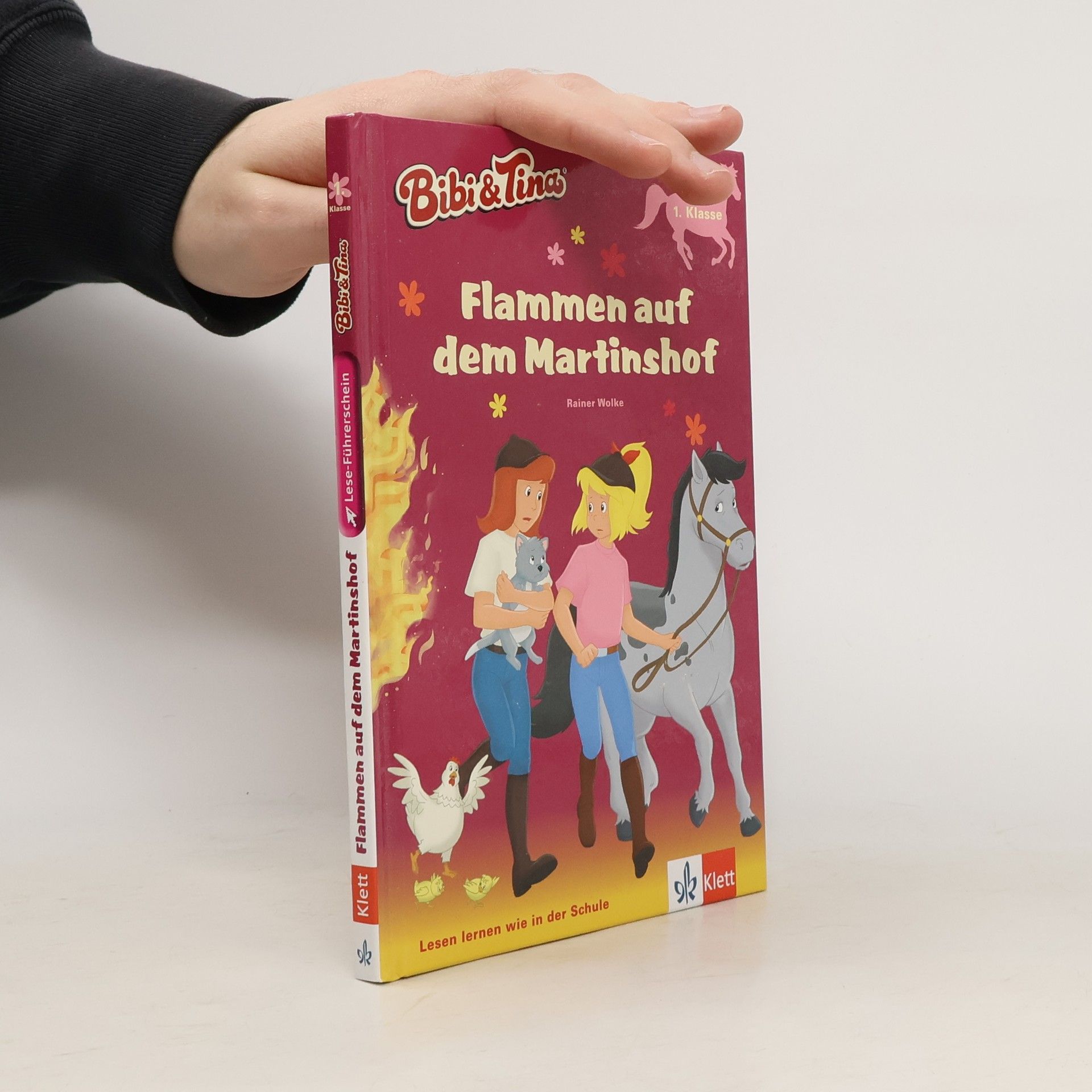 Rainer Wolke Bibi & Tina - Flammen auf dem Martinshof