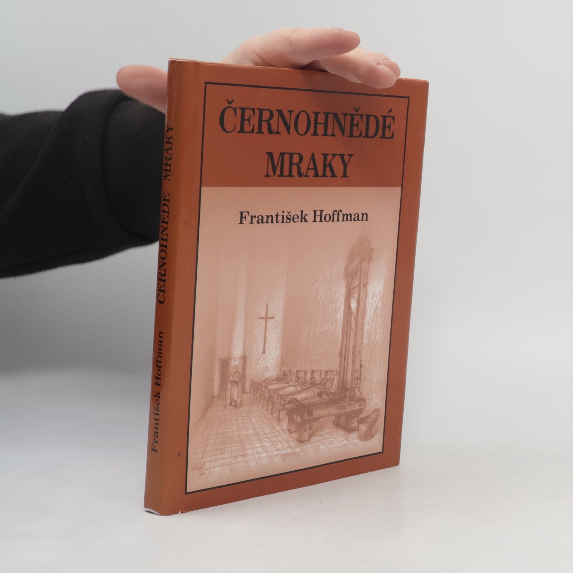 František Hoffman Černohnědé mraky