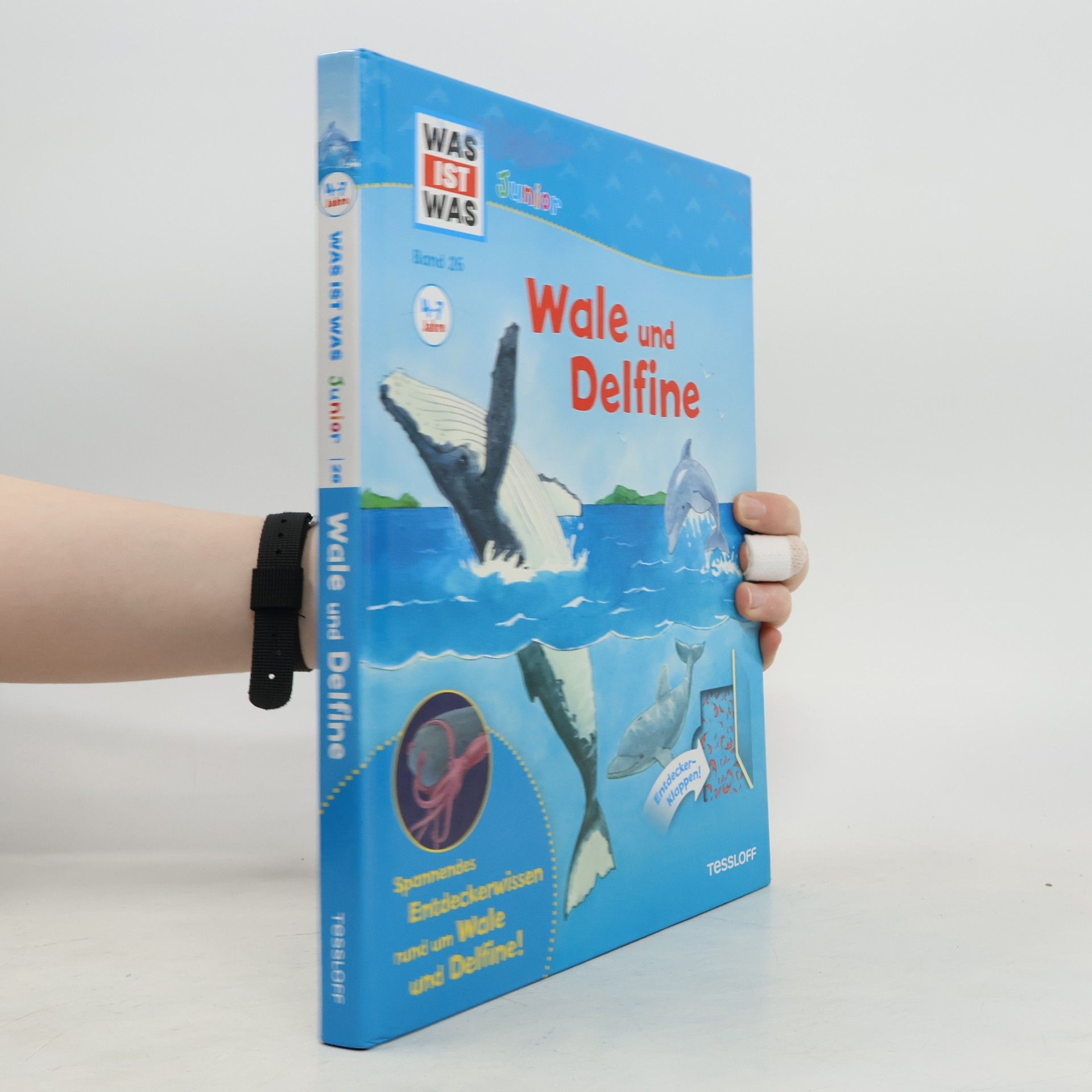 Autorenkollektiv Wale und Delfine