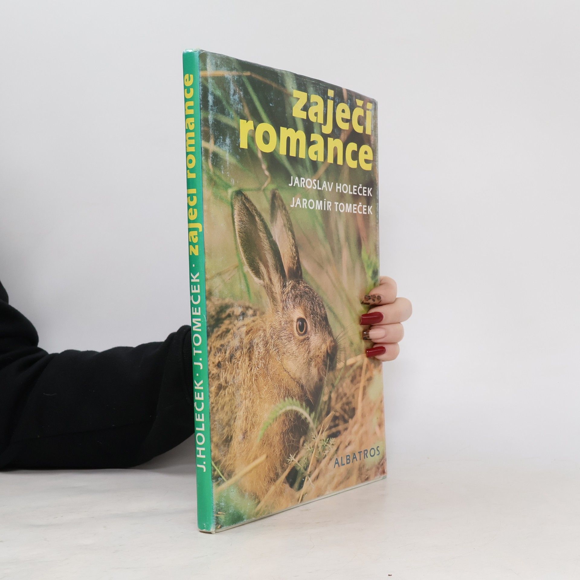 Jaroslav Holeček Zaječí romance