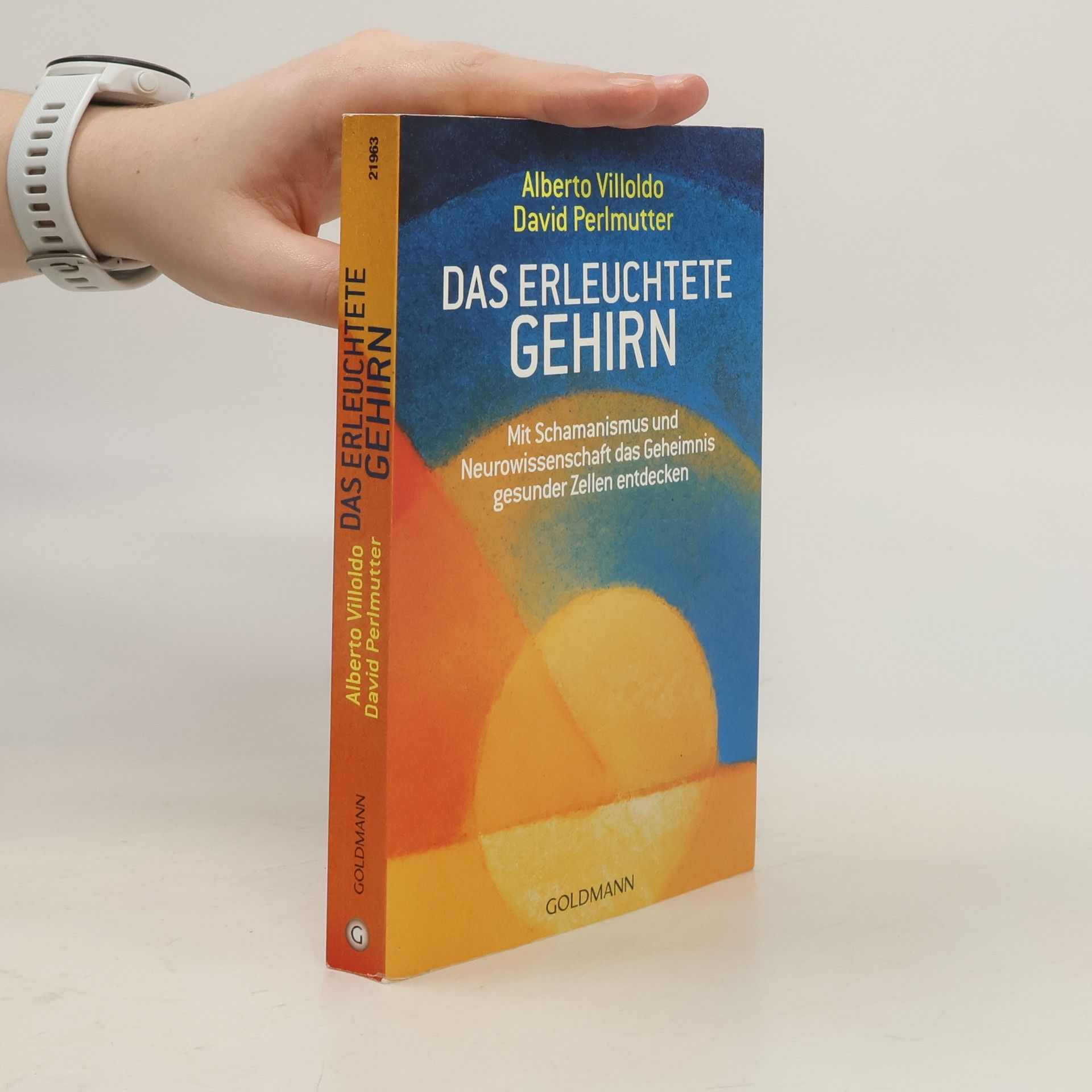 Alberto Villoldo Das erleuchtete Gehirn