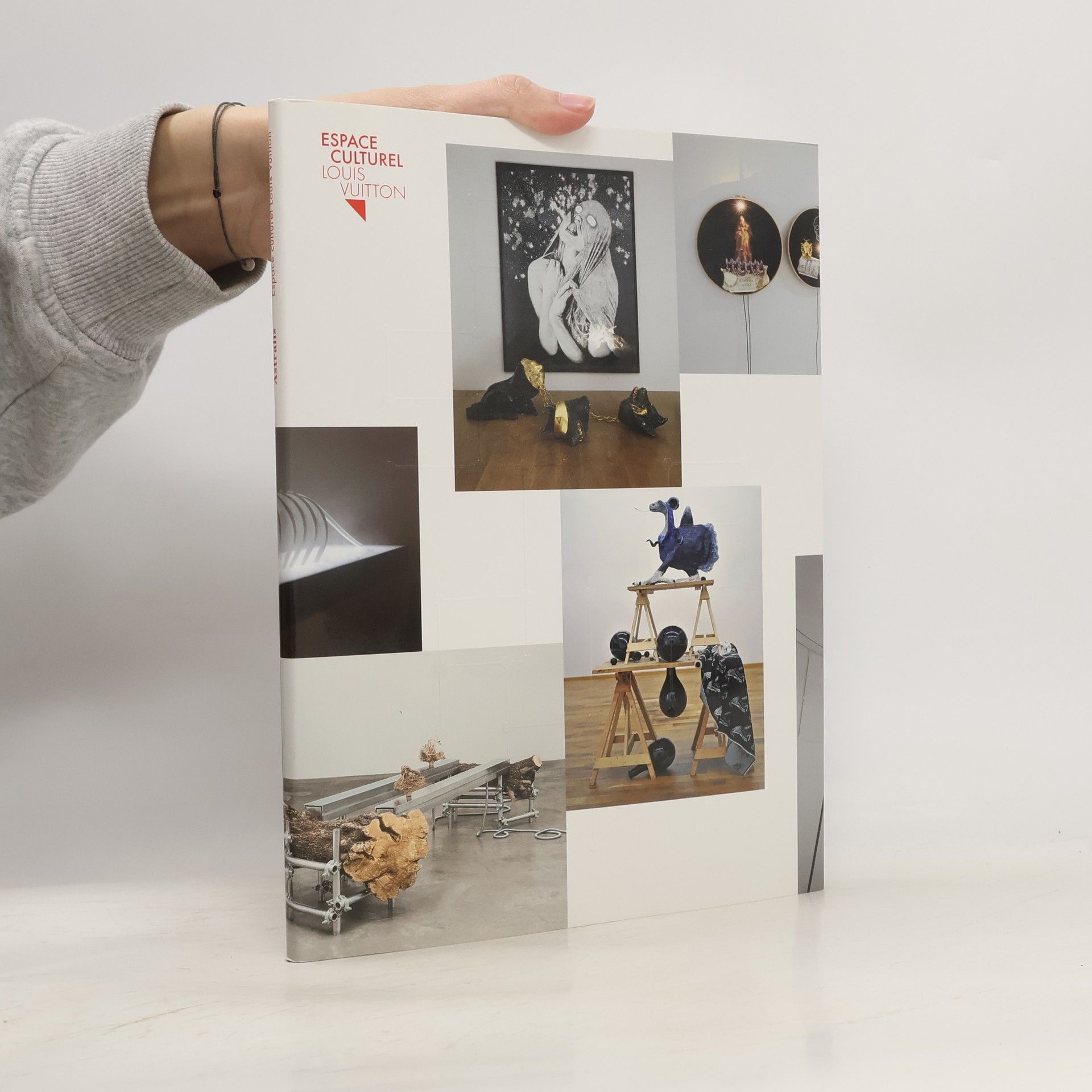 Jean-Paul Capitani L'espace culturel Louis Vuitton