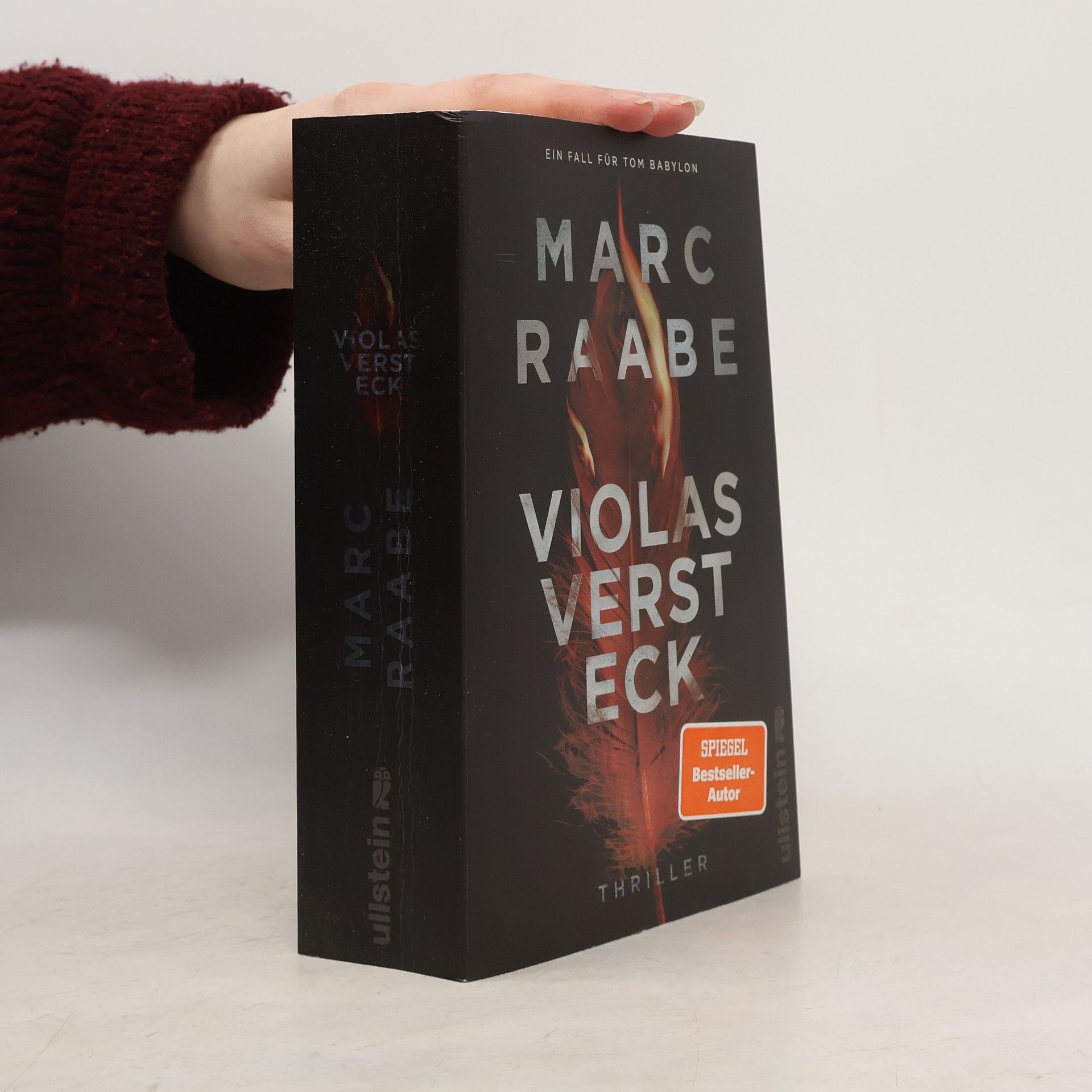 Marc Raabe Violas Versteck