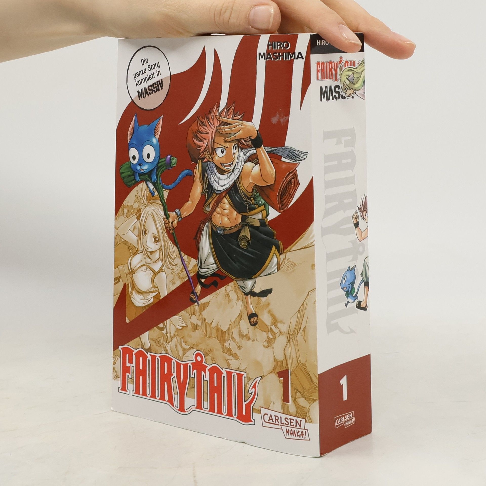 Hiro M. Fairy Tail Massiv 1