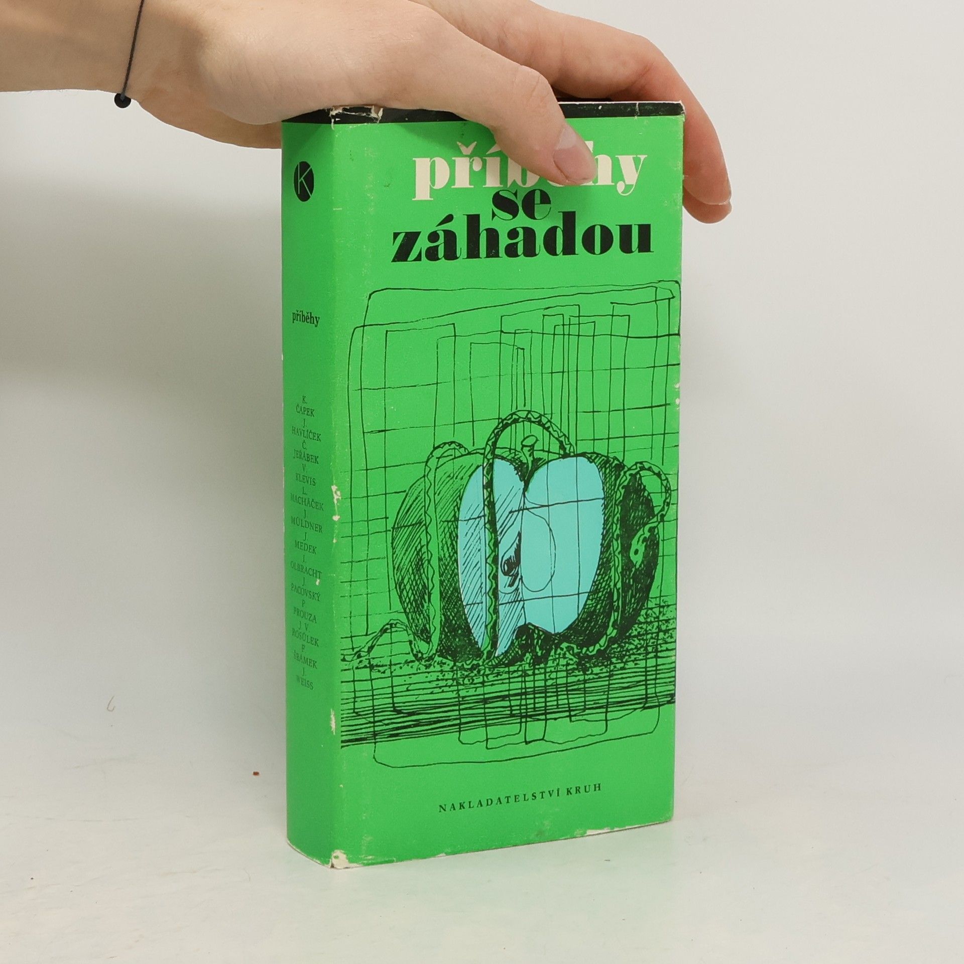 Ludmila Jandová Příběhy se záhadou